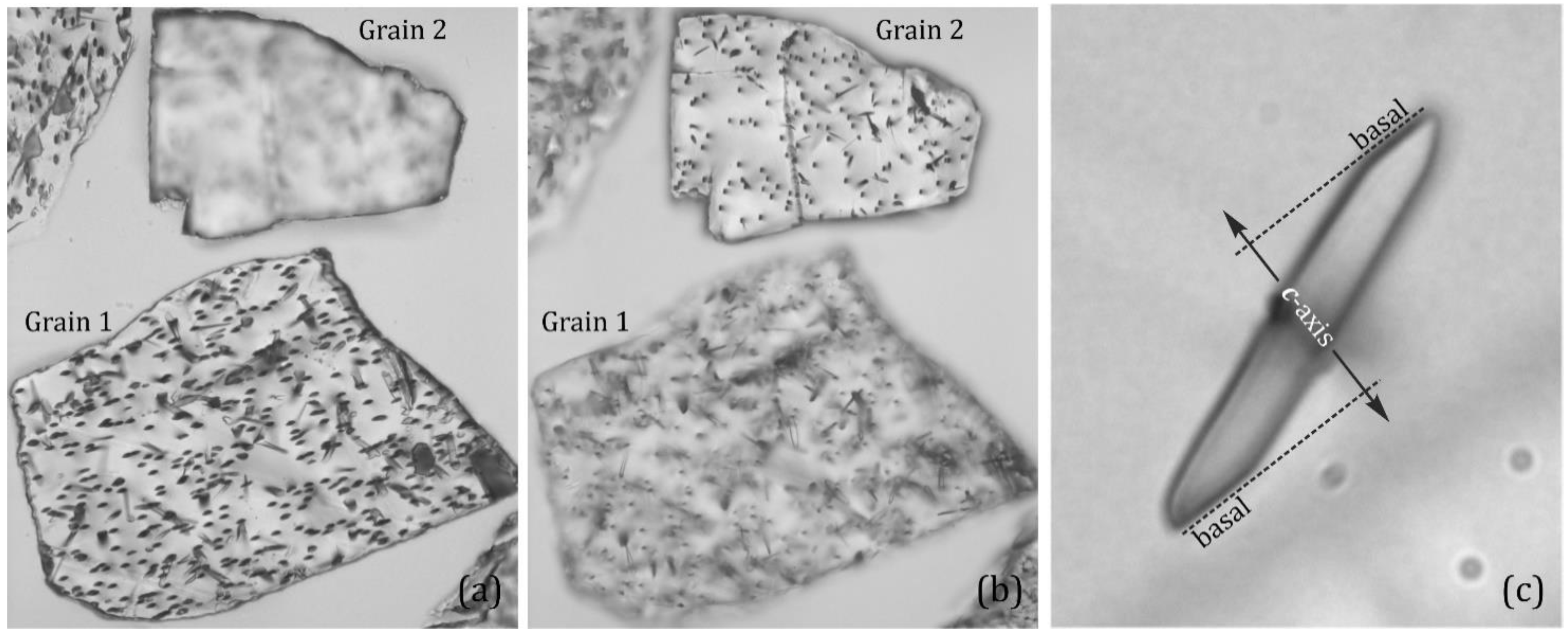 Preprints 117555 g003