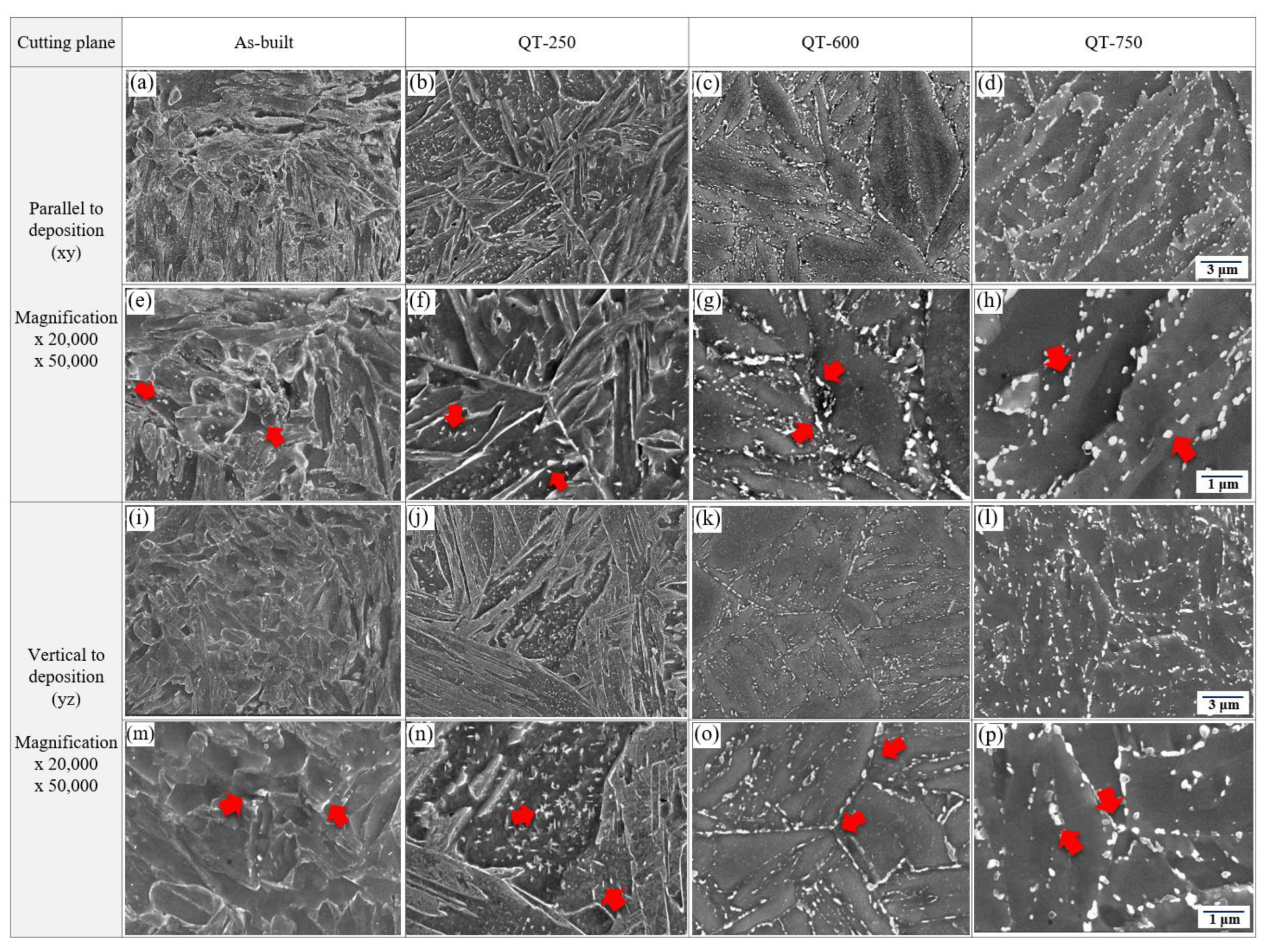 Preprints 108012 g008