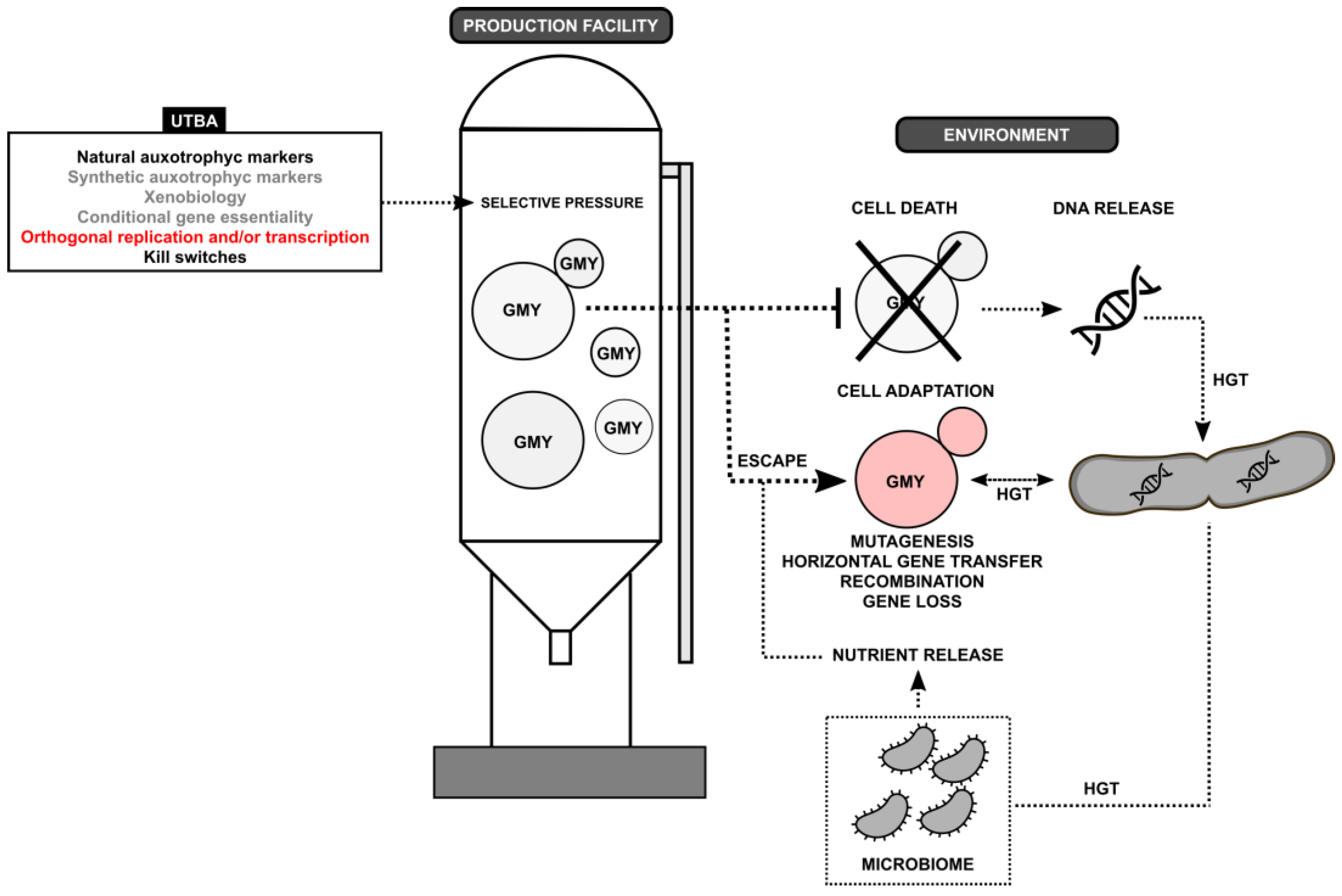 Preprints 70186 g001