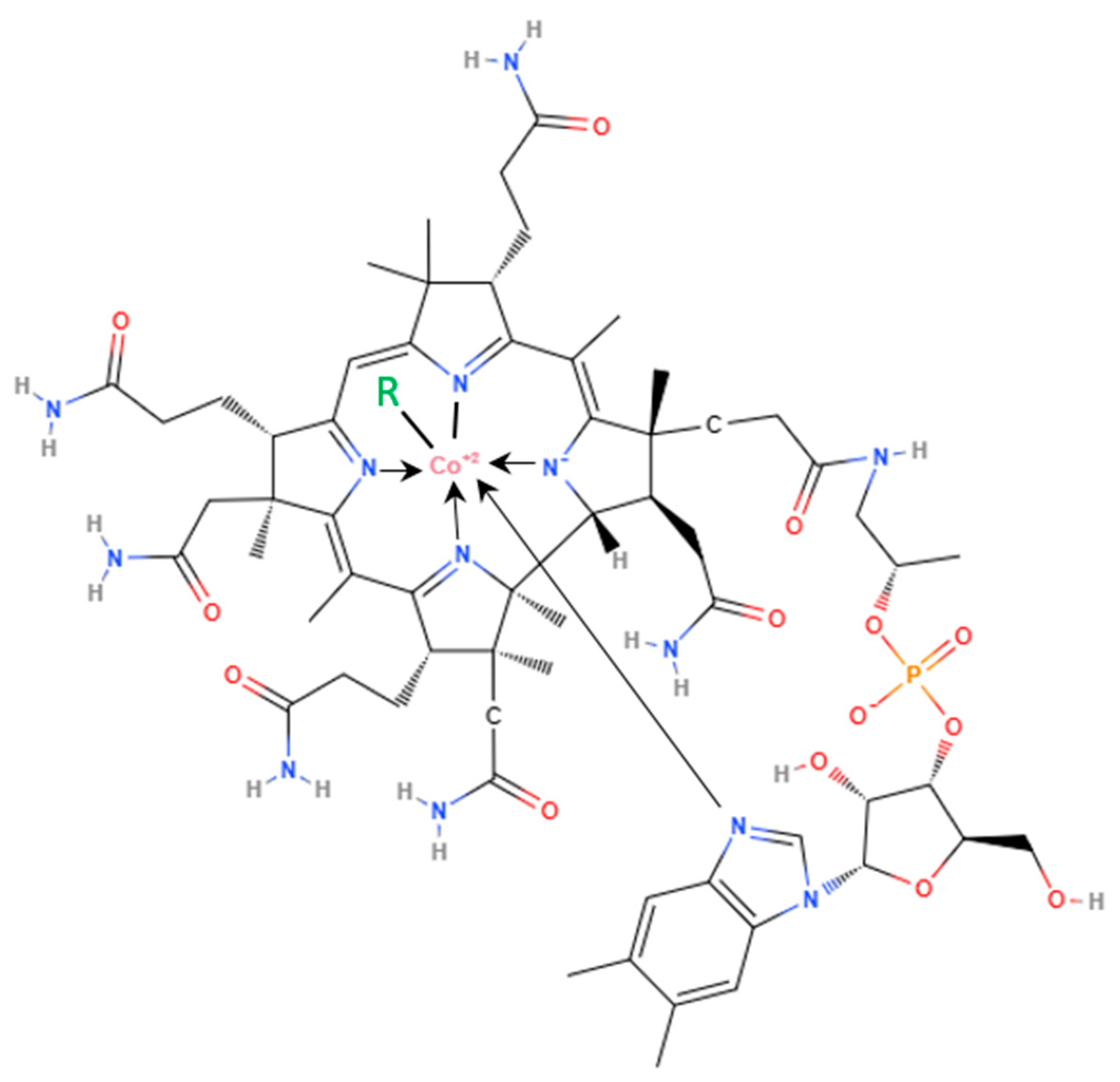 Preprints 109433 g001