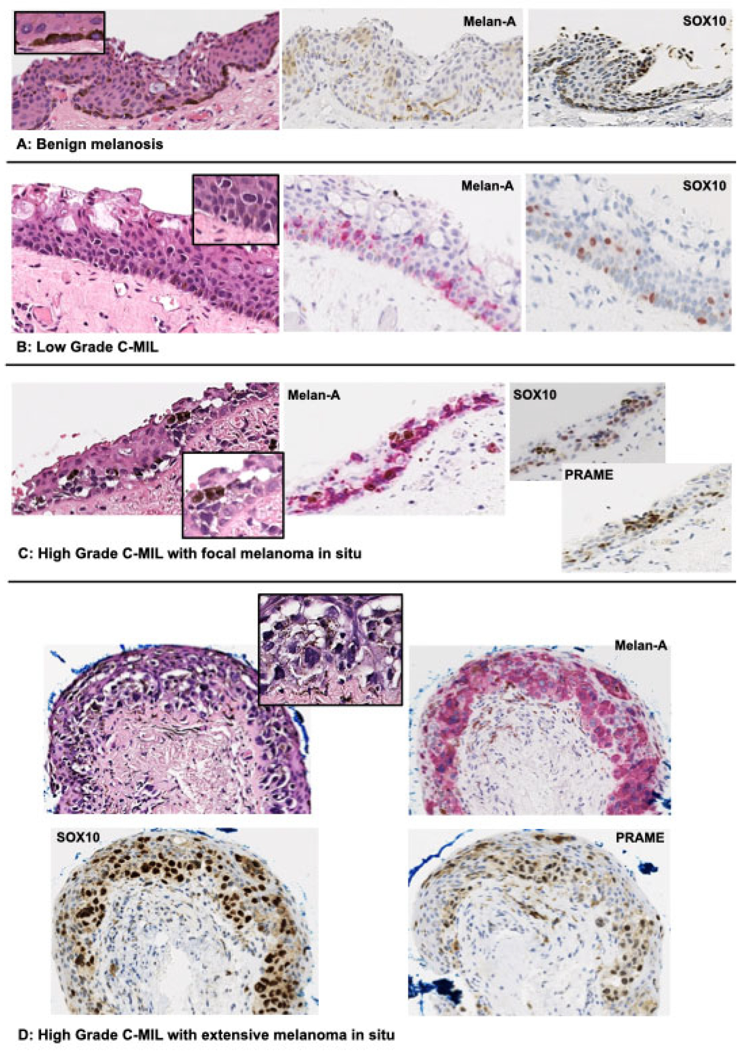 Preprints 112896 g003