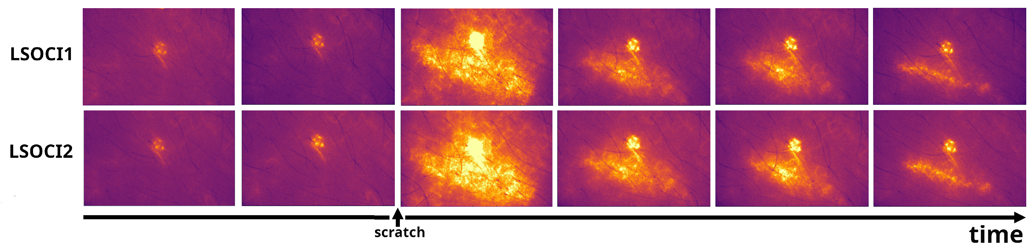 Preprints 107835 g002