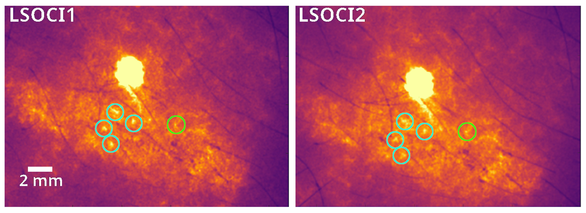 Preprints 107835 g003