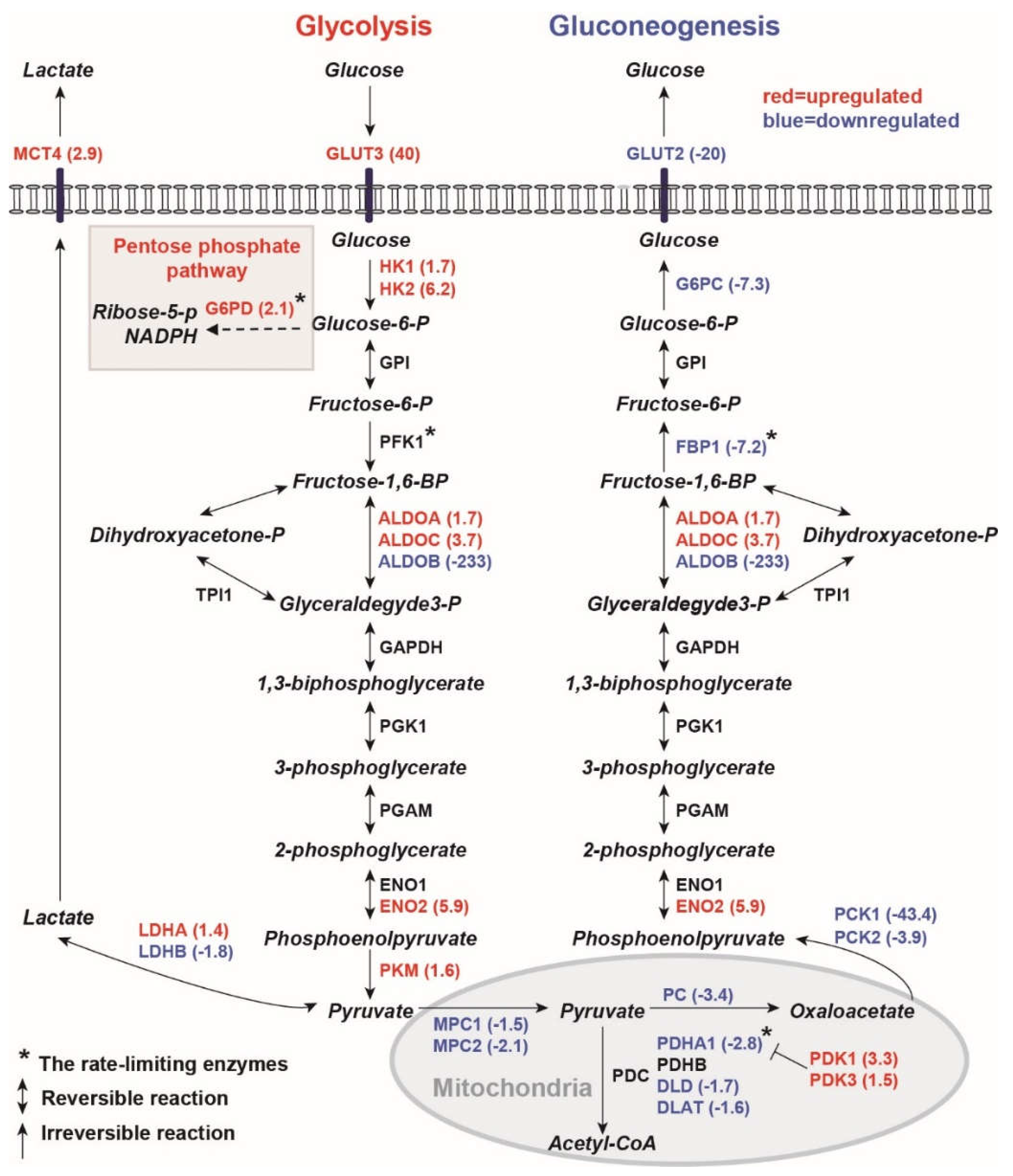 Preprints 106087 g001