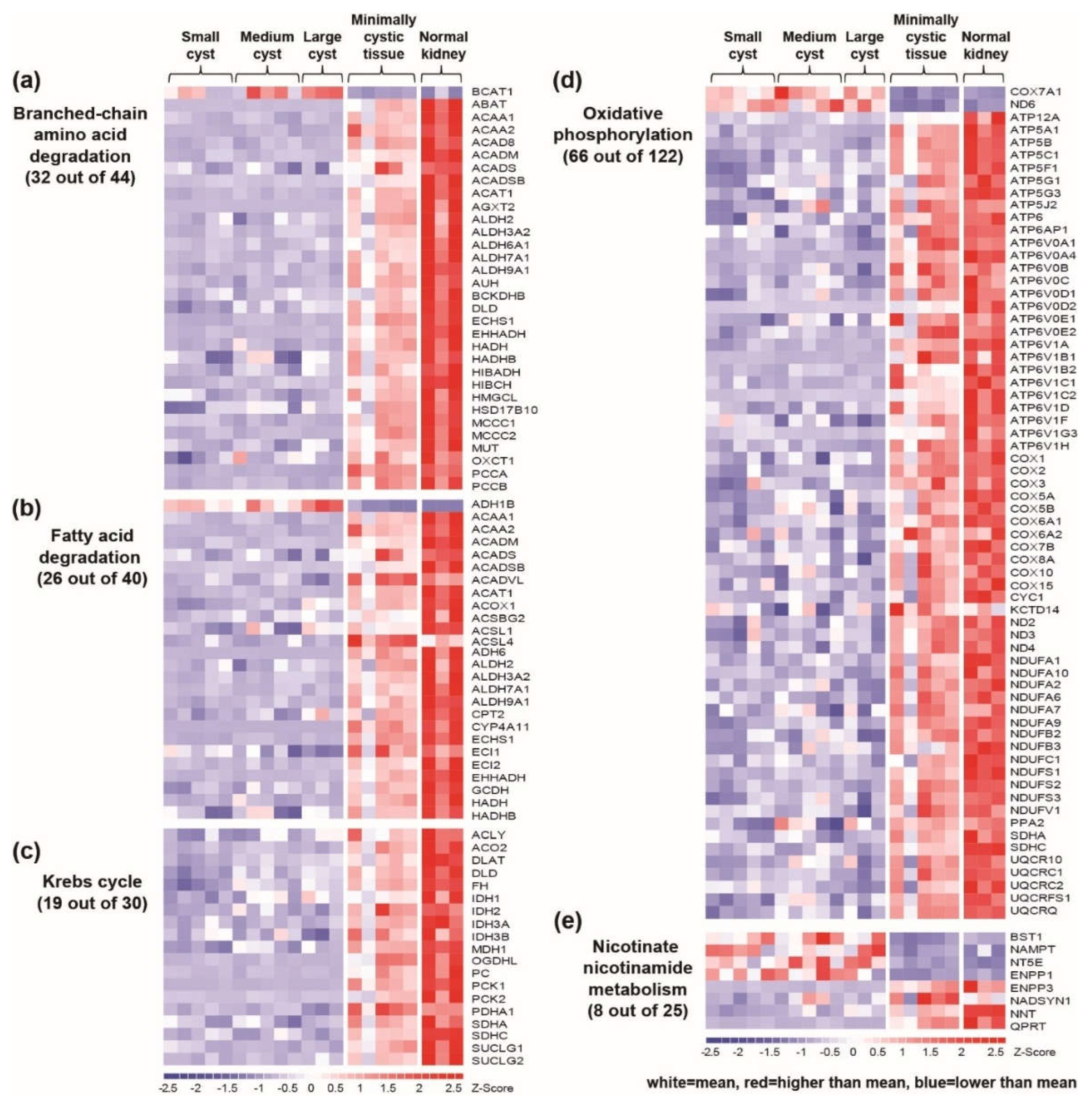 Preprints 106087 g002