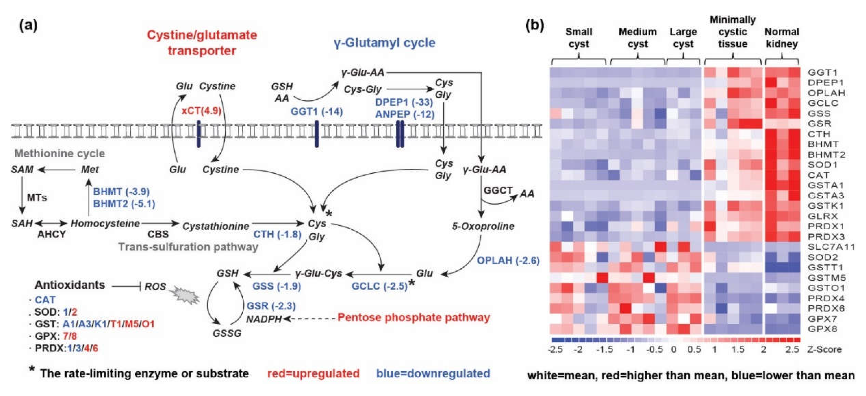 Preprints 106087 g003