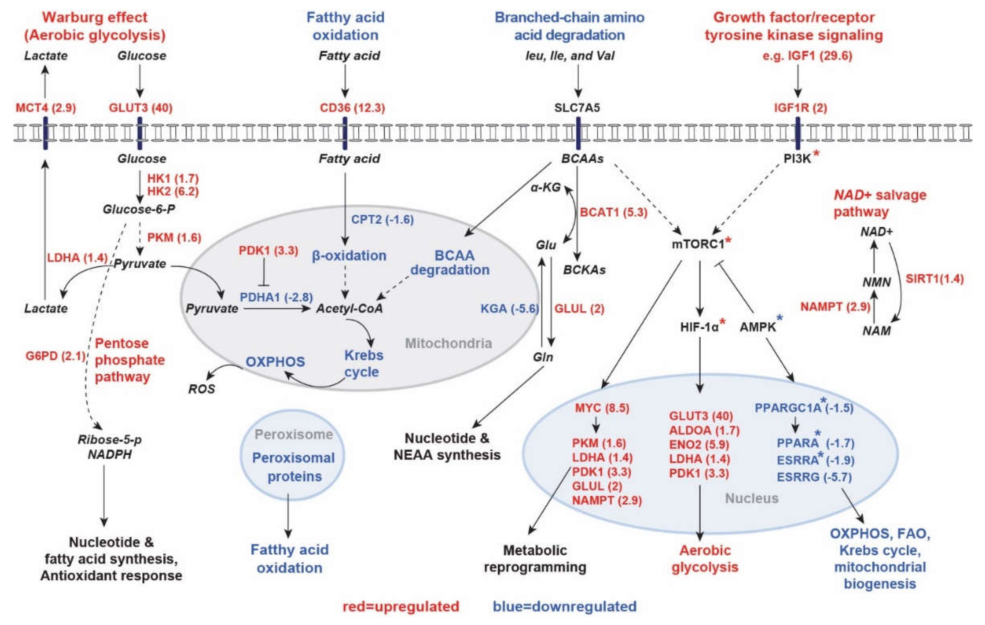 Preprints 106087 g004