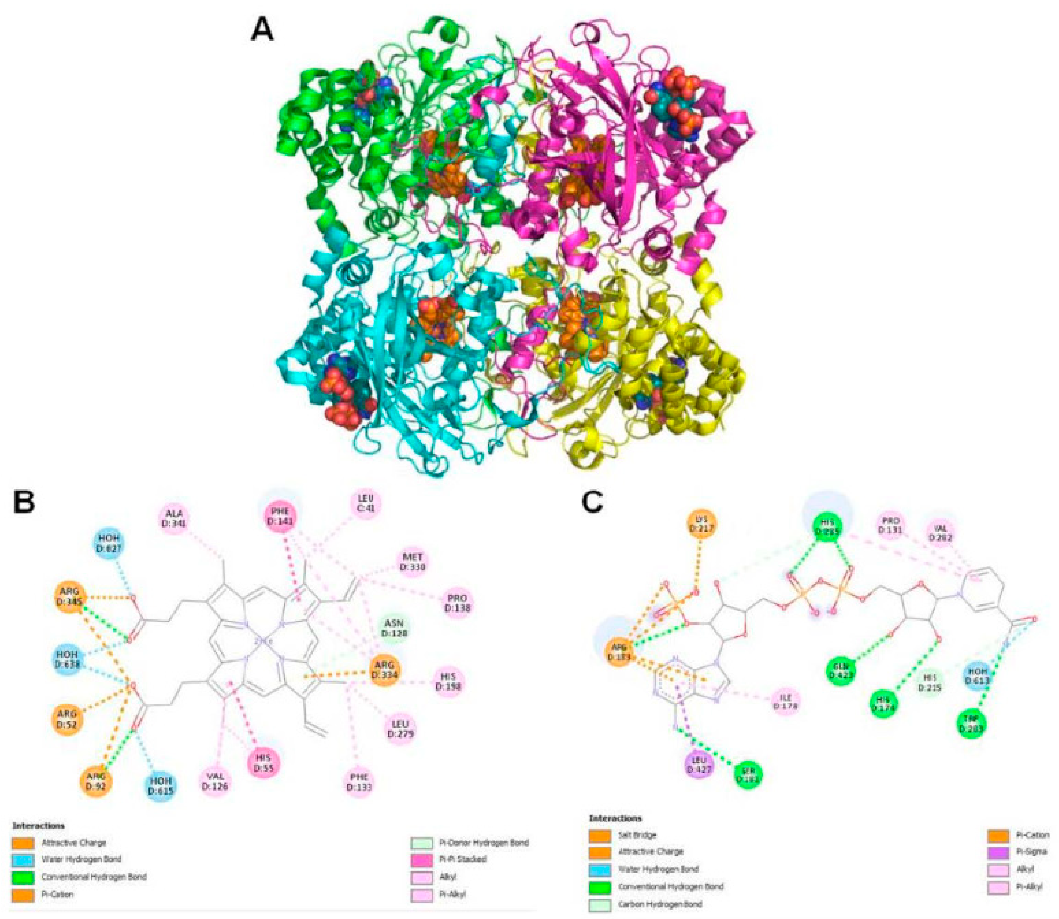 Preprints 68016 g006