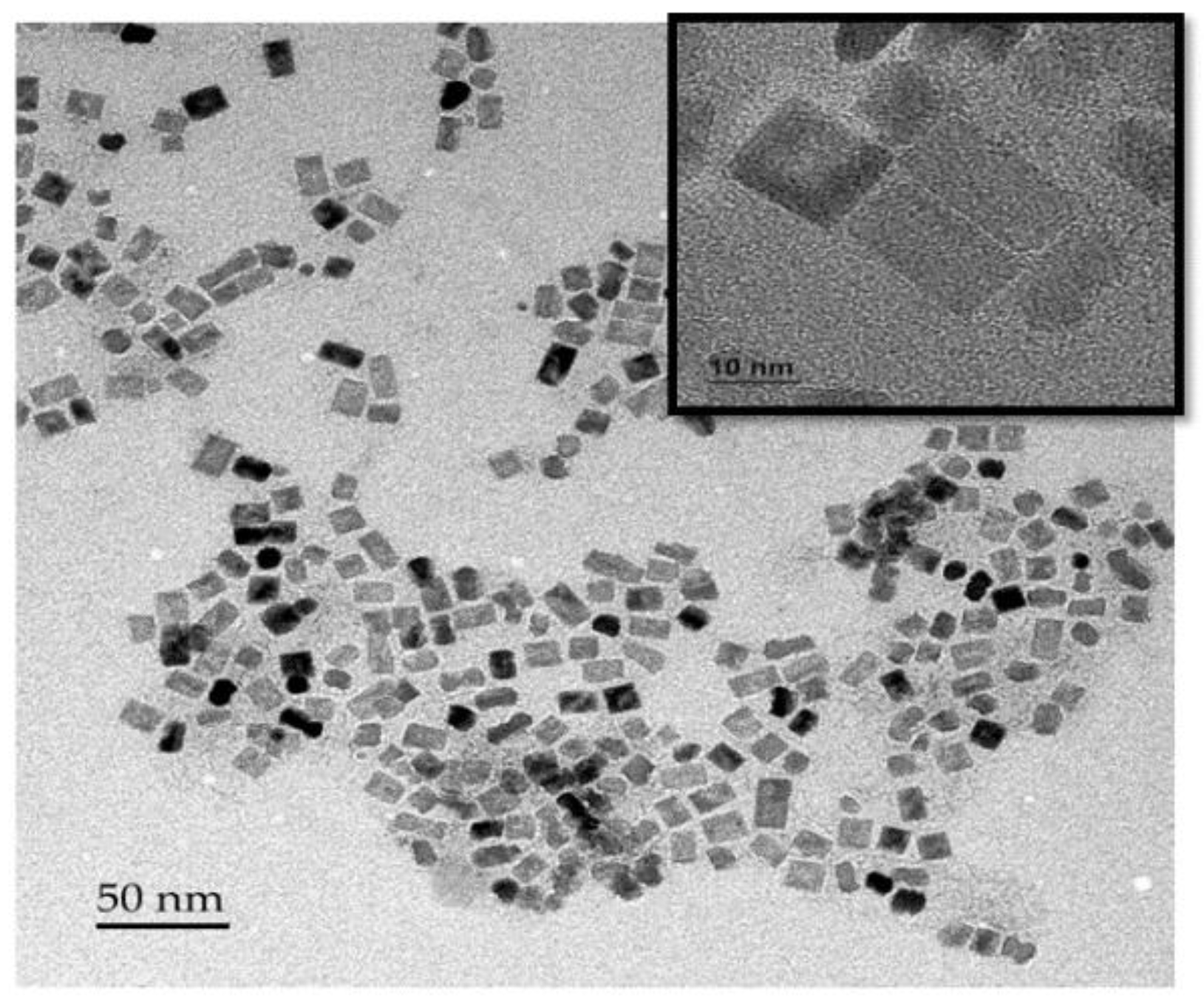 Preprints 106687 g001