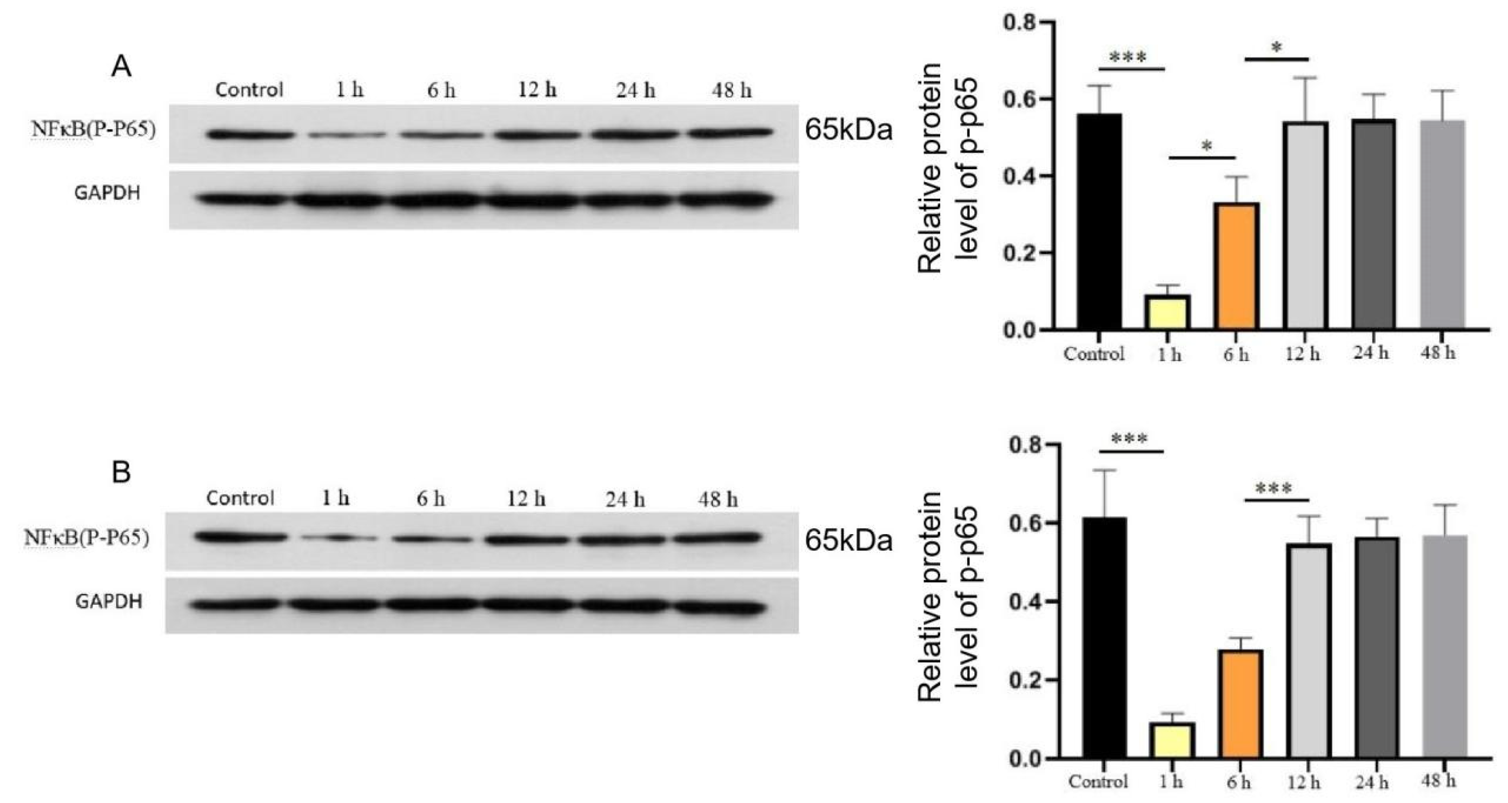 Preprints 98113 g002