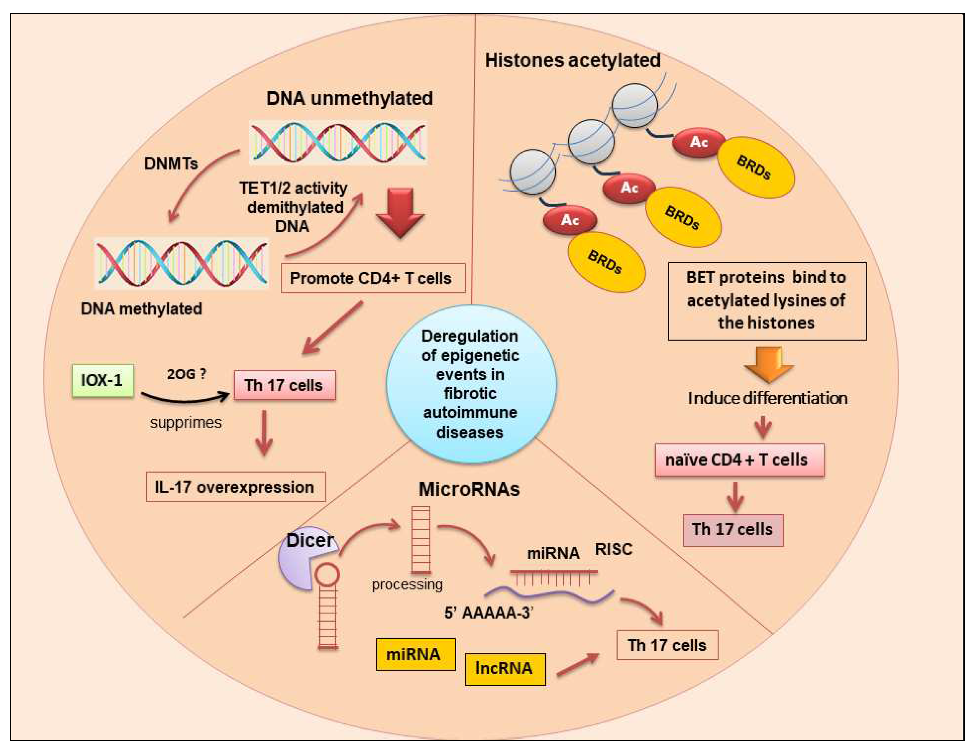 Preprints 86791 g003