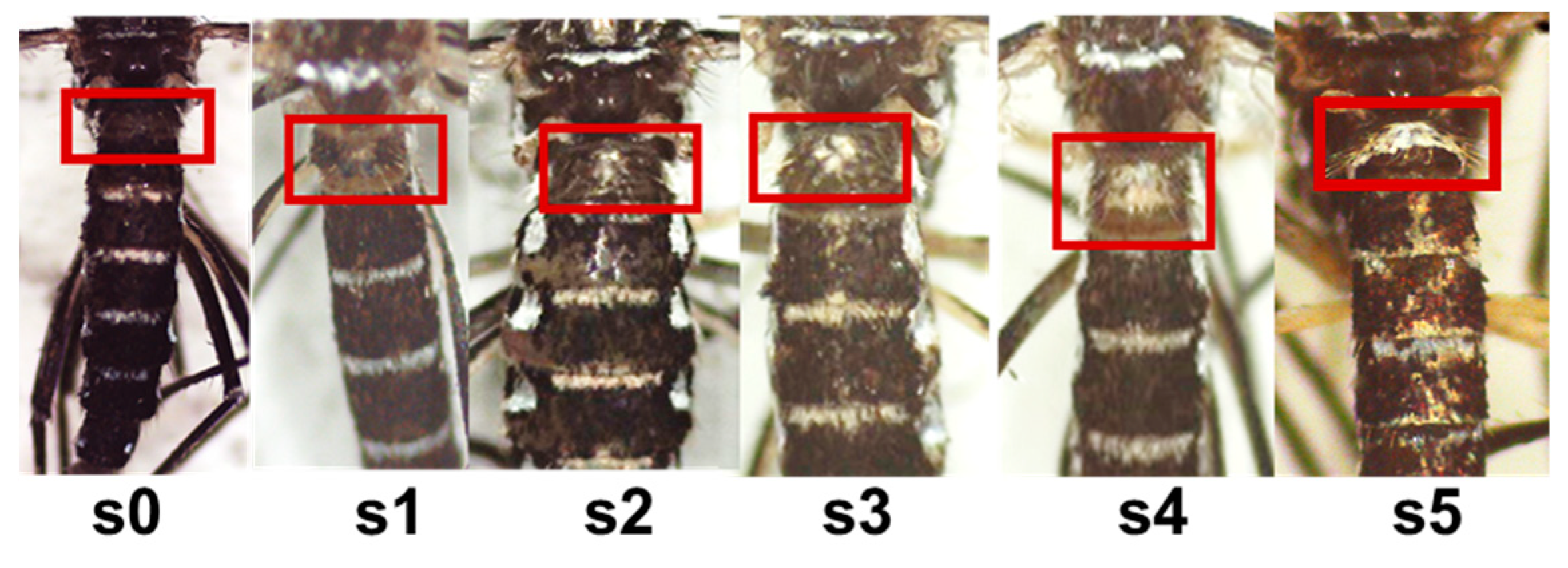 Preprints 91983 g002