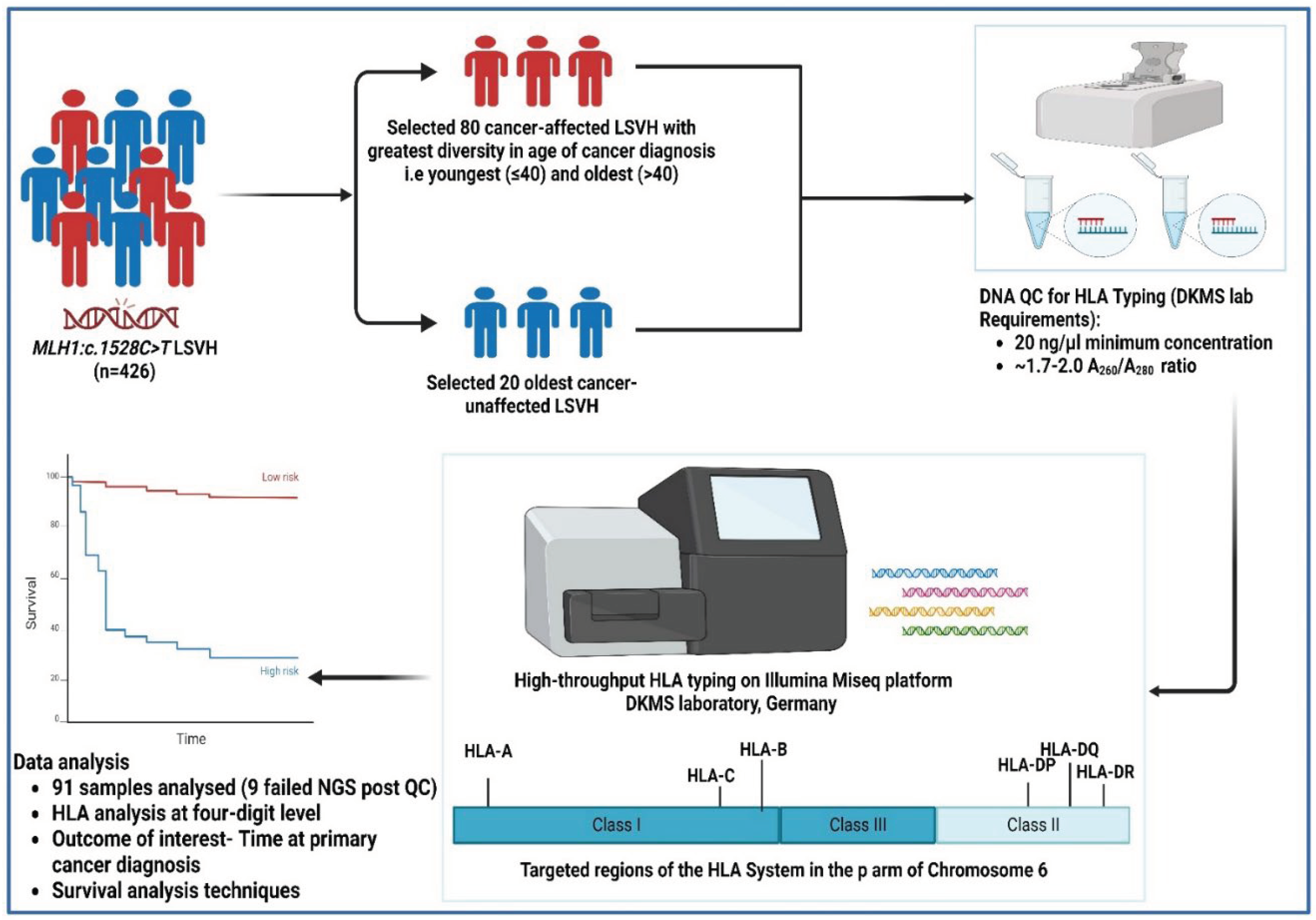 Preprints 100703 g001