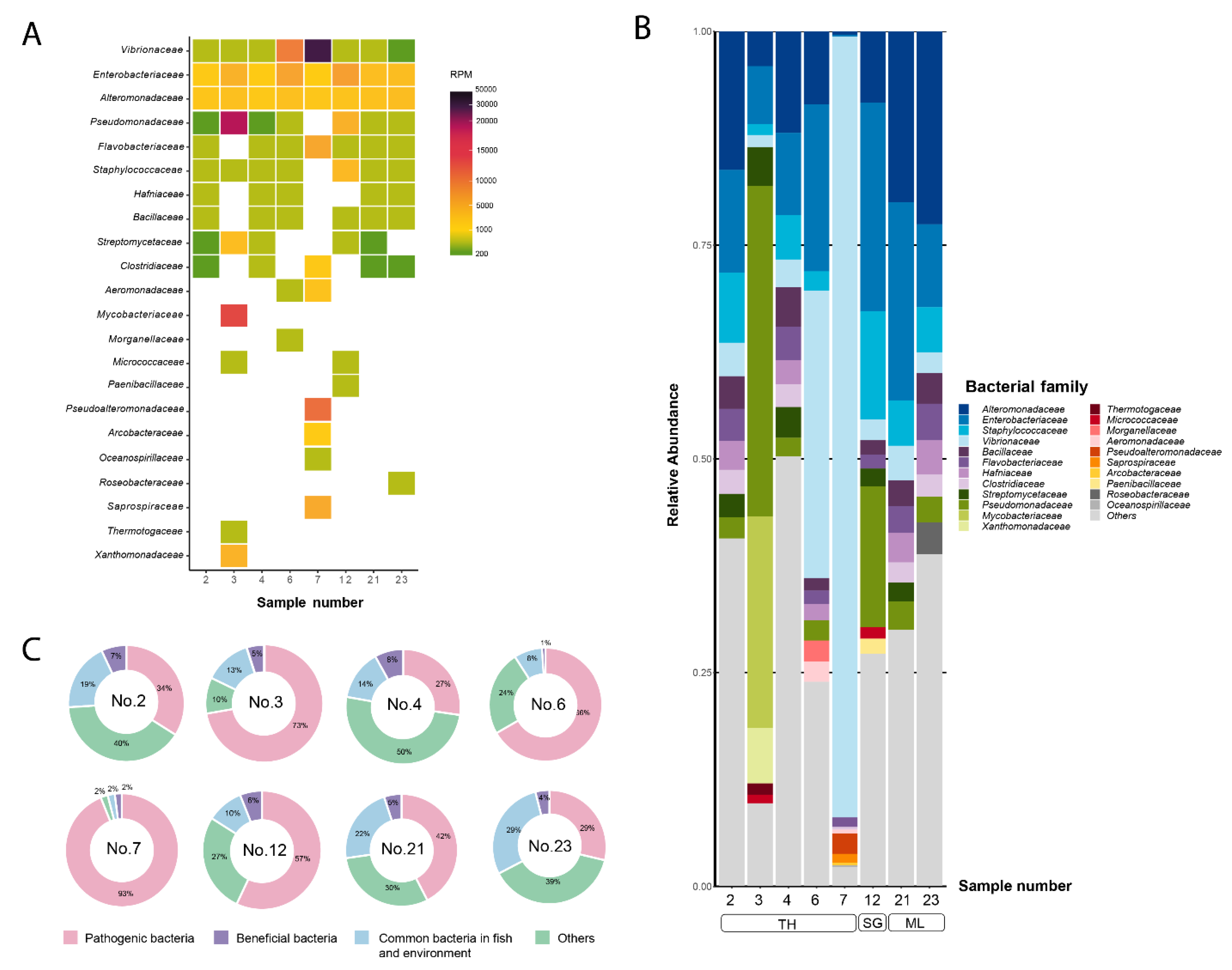 Preprints 109012 g001