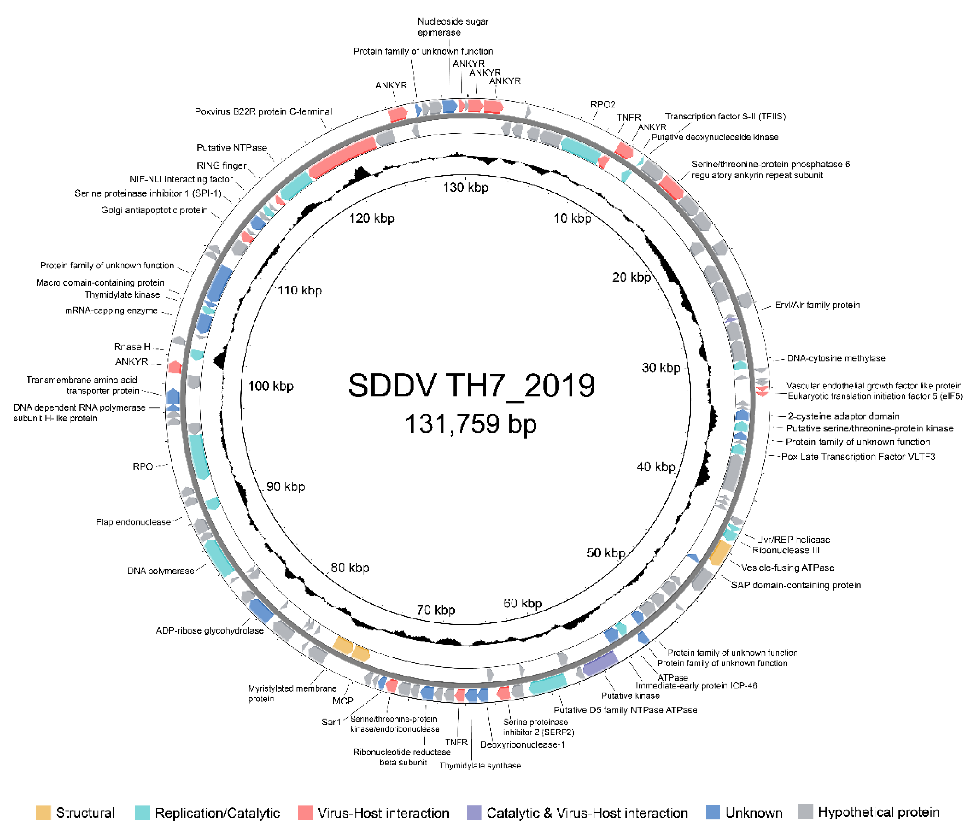 Preprints 109012 g003