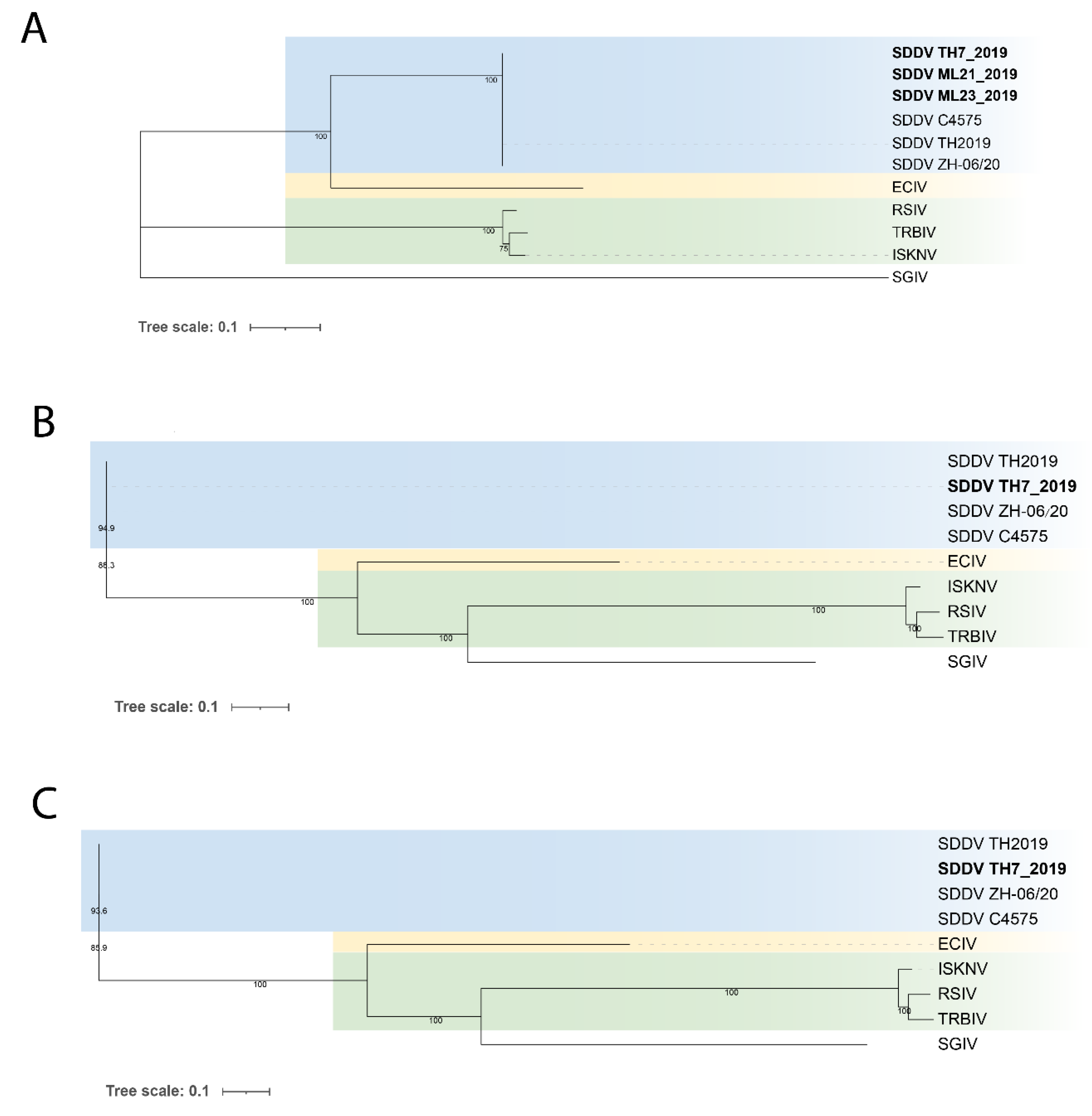 Preprints 109012 g006