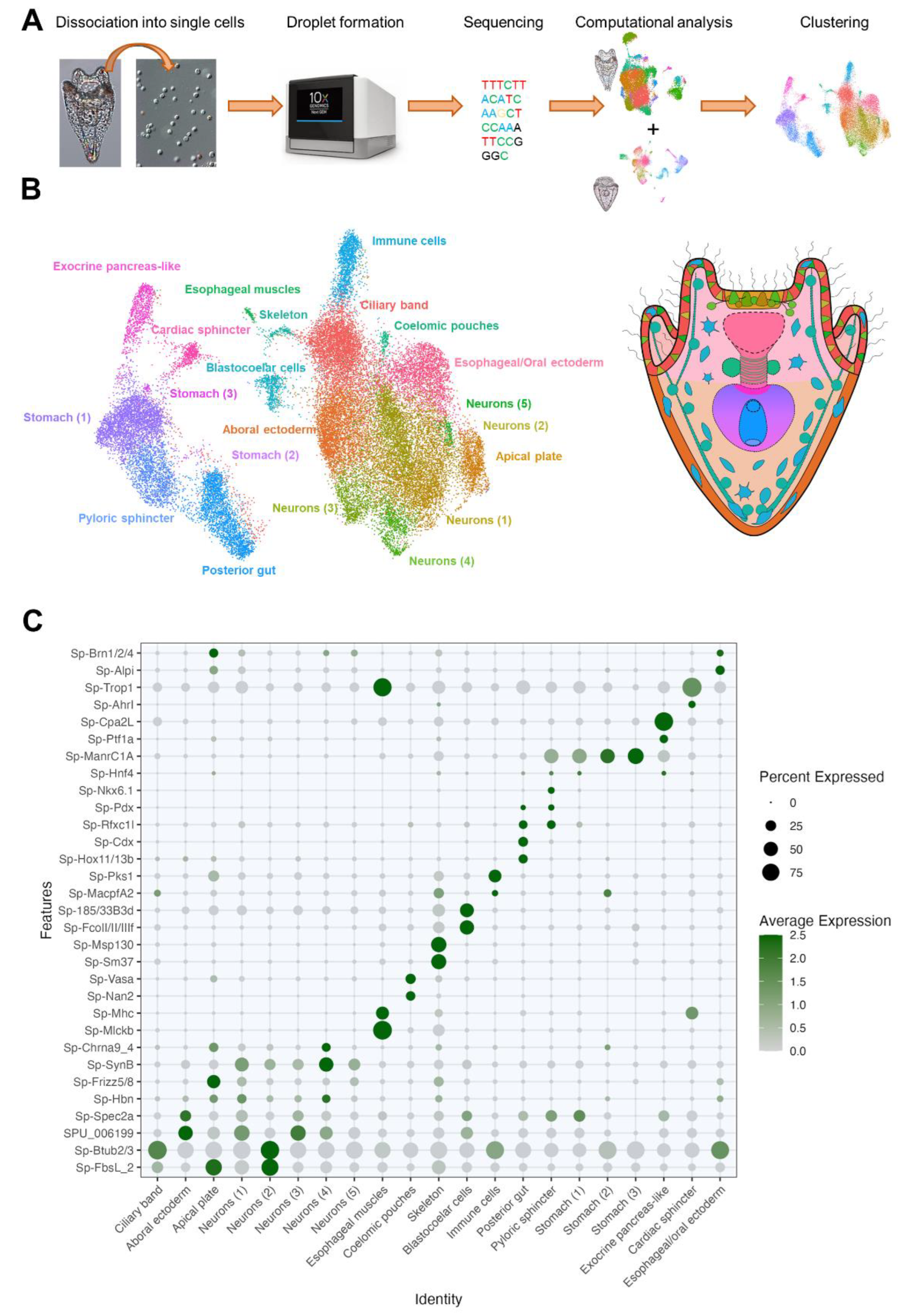 Preprints 81397 g002