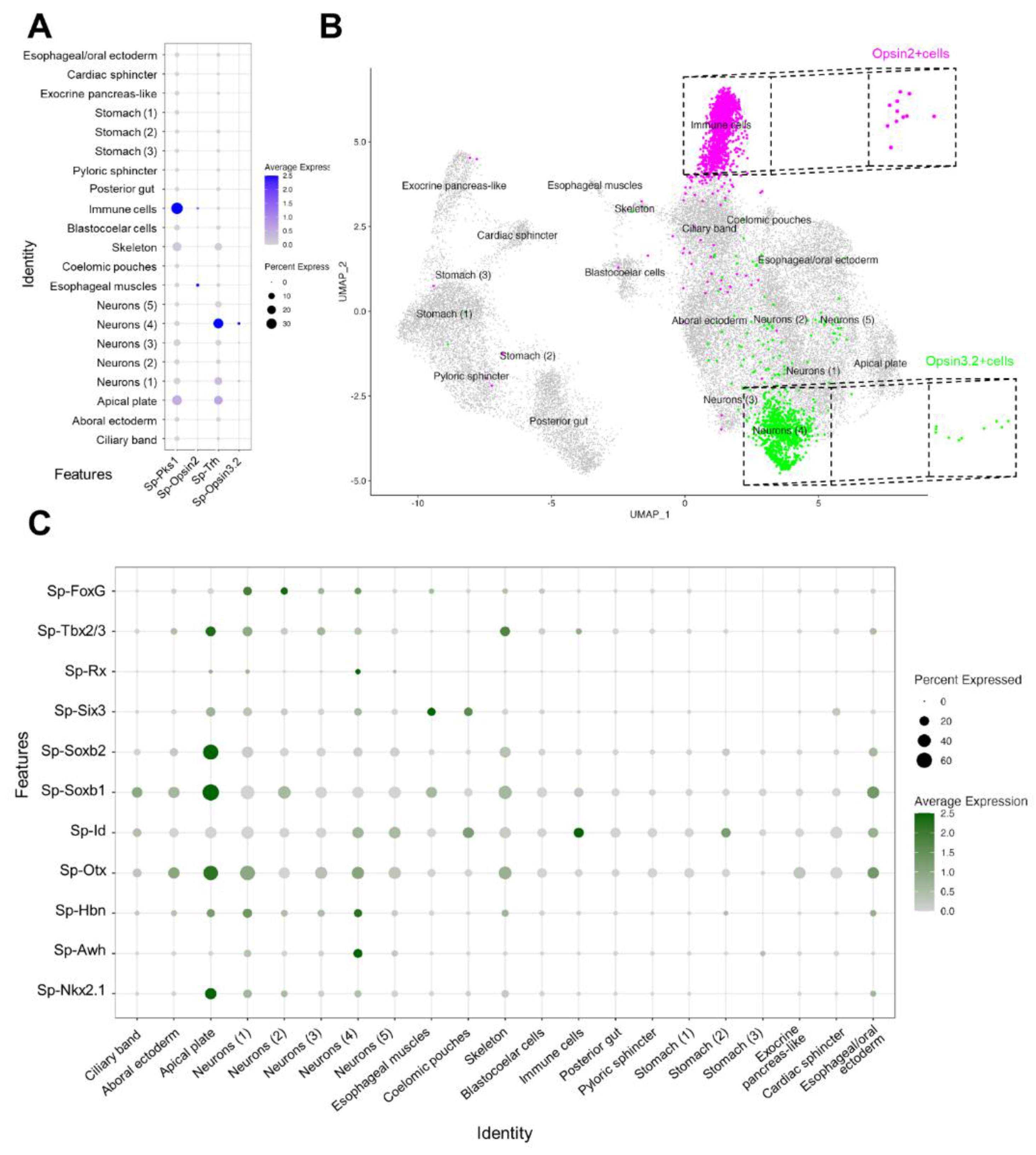 Preprints 81397 g003