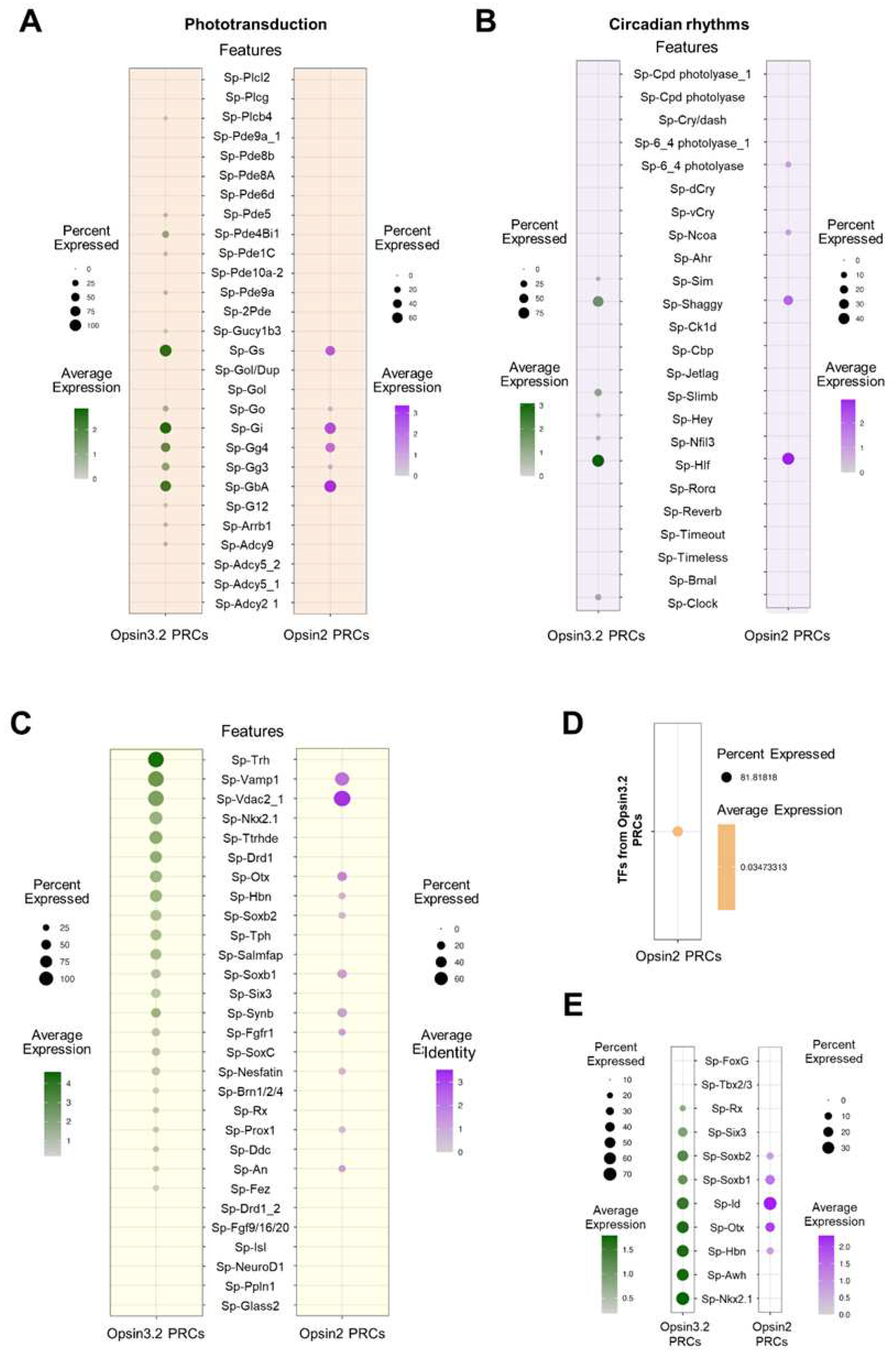 Preprints 81397 g004