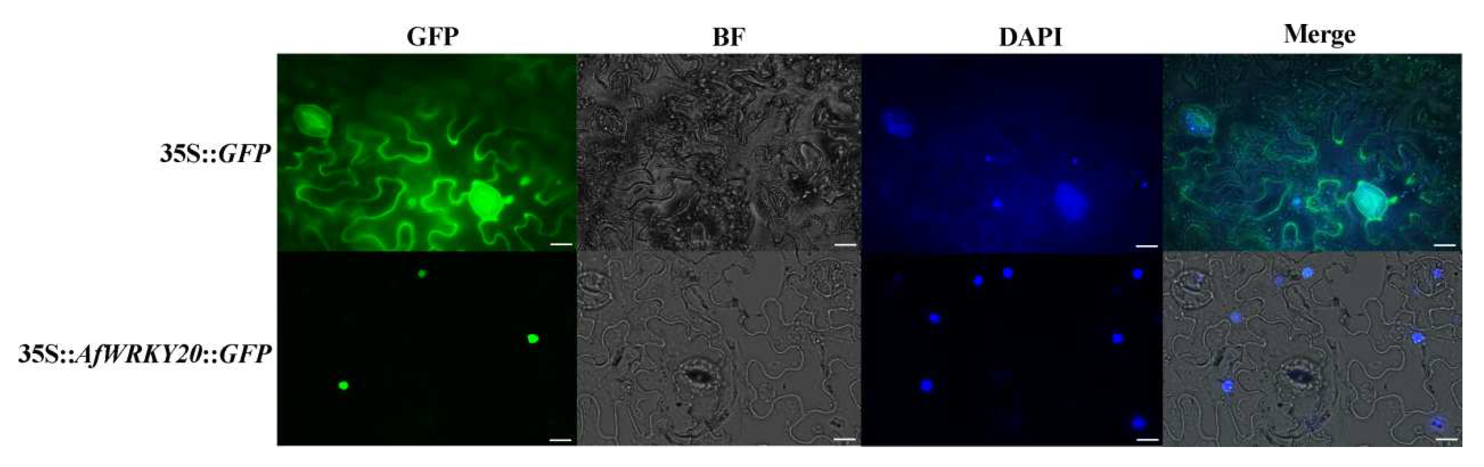 Preprints 79785 g004