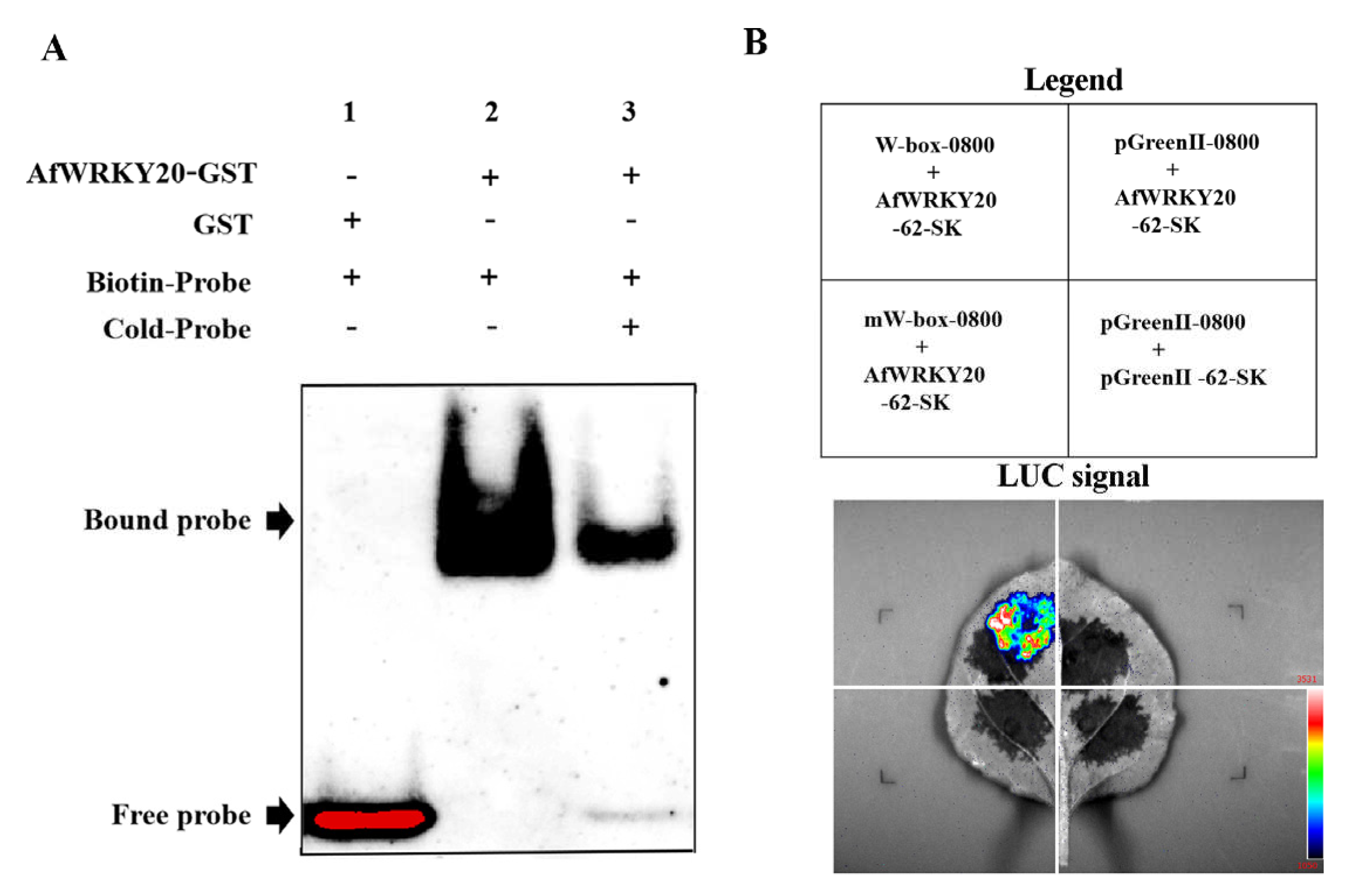 Preprints 79785 g005