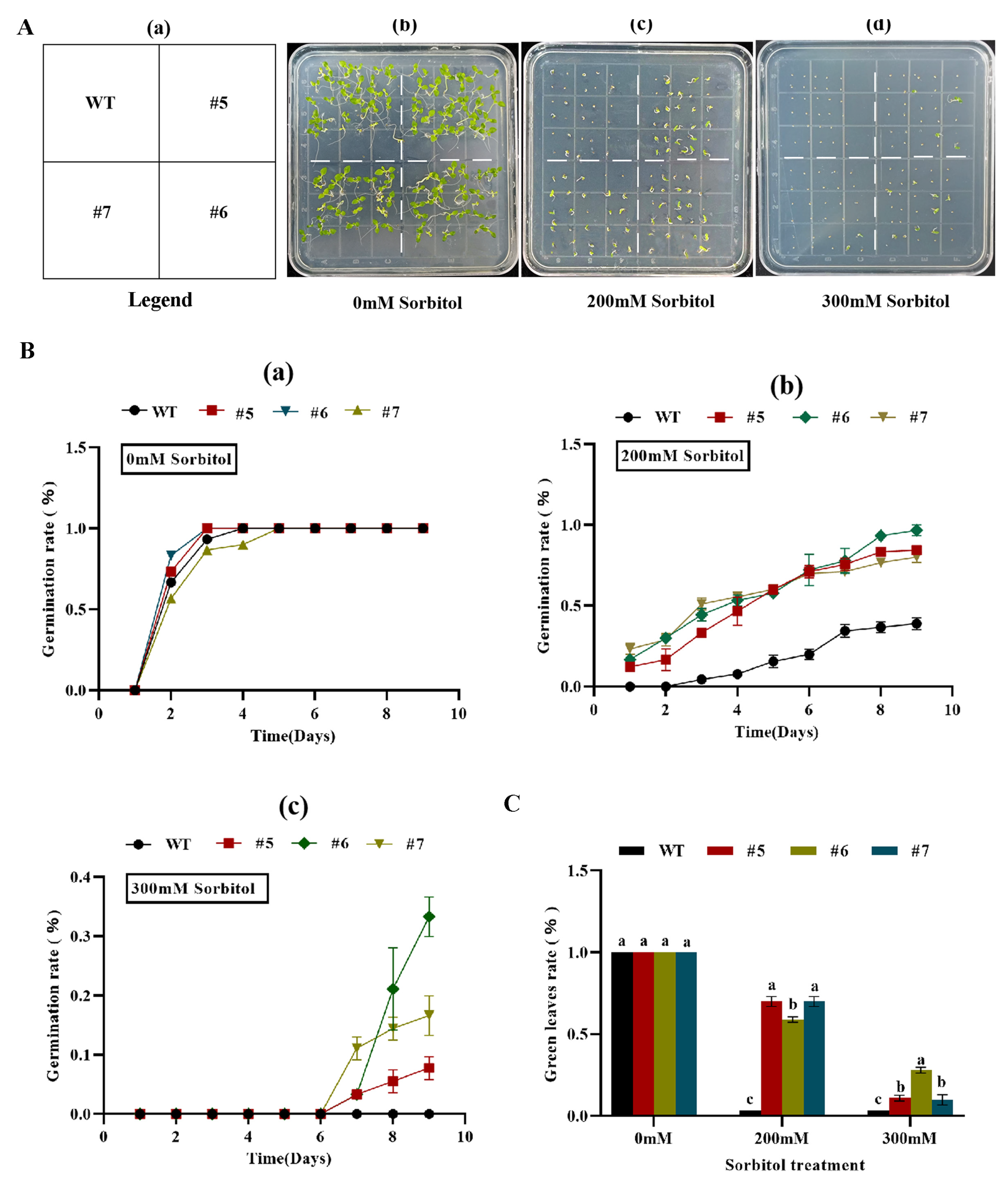 Preprints 79785 g007