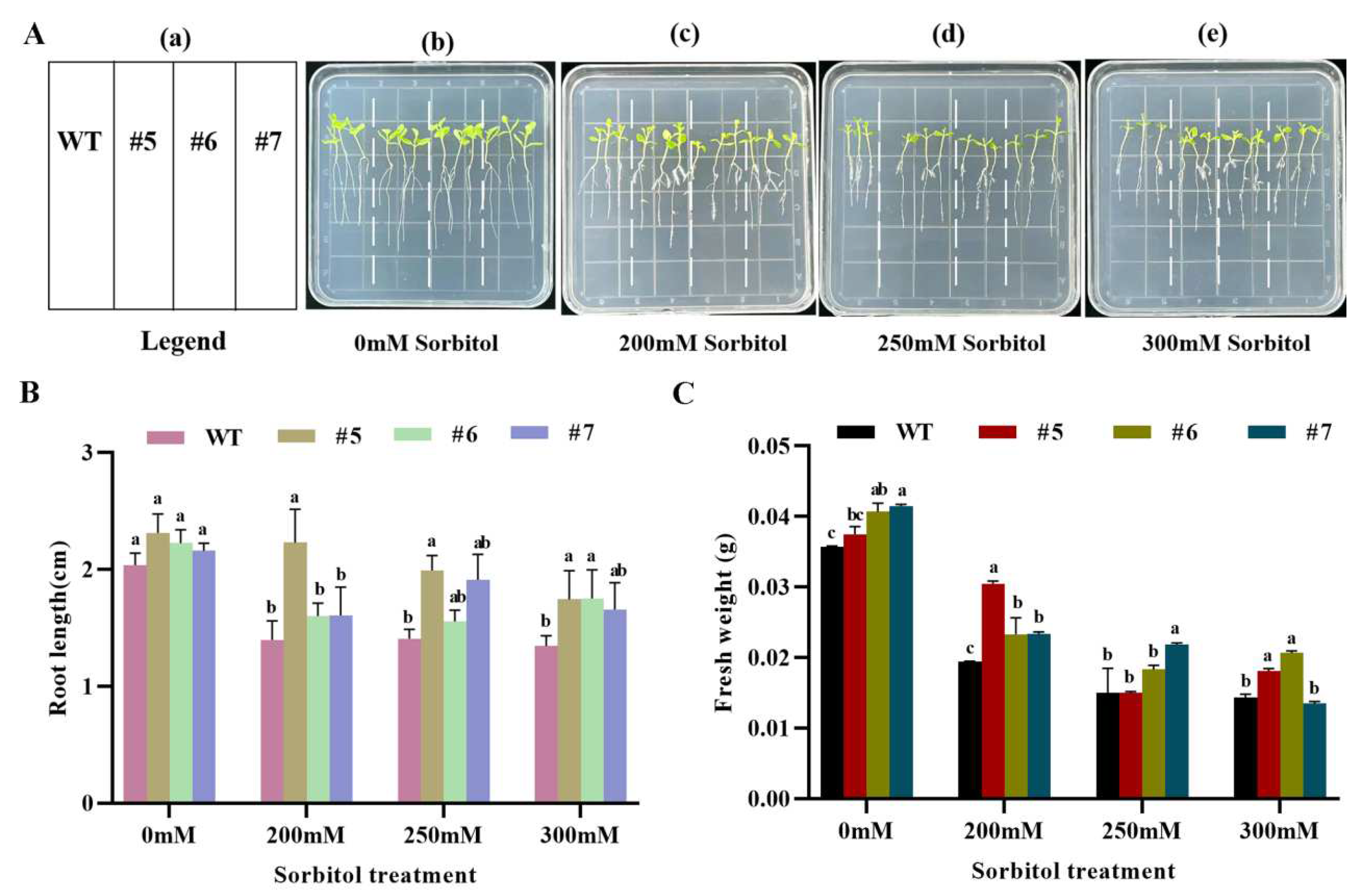 Preprints 79785 g008