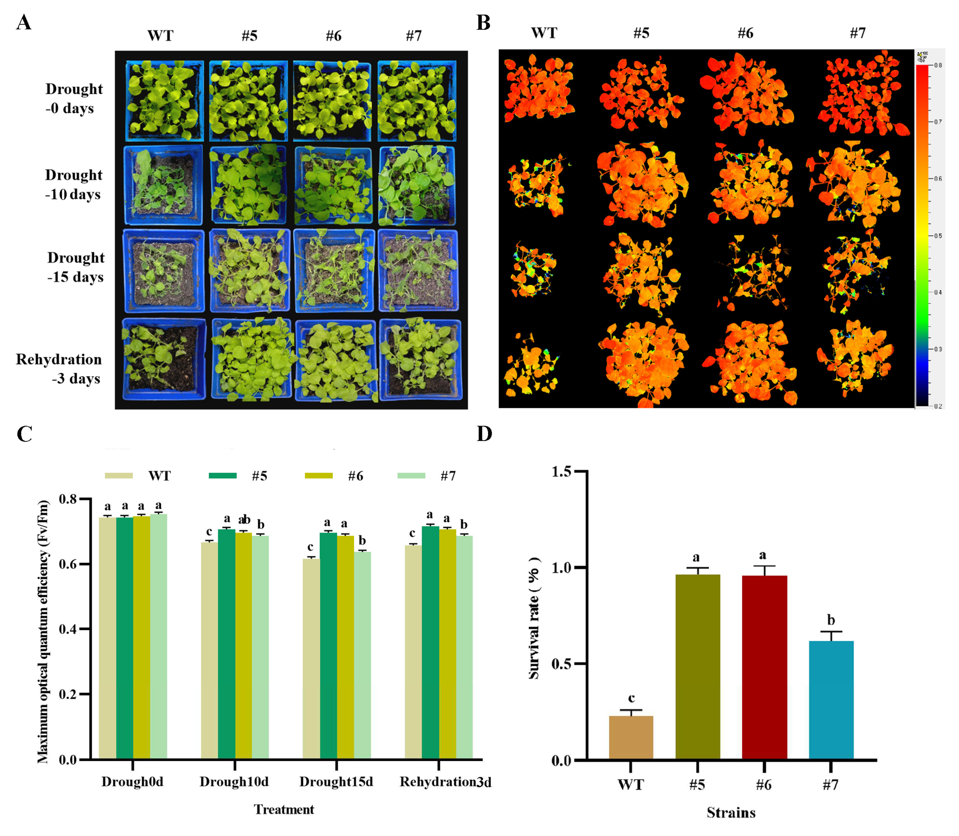 Preprints 79785 g009