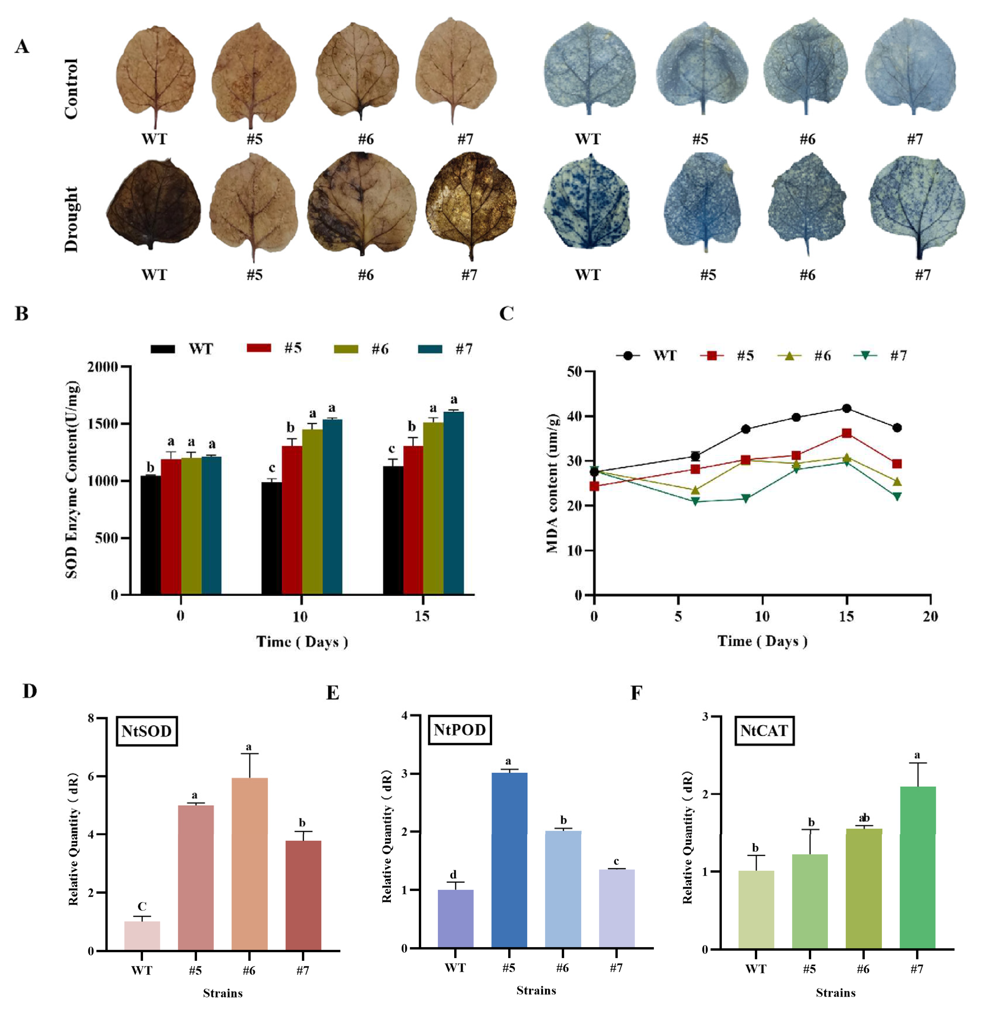 Preprints 79785 g011