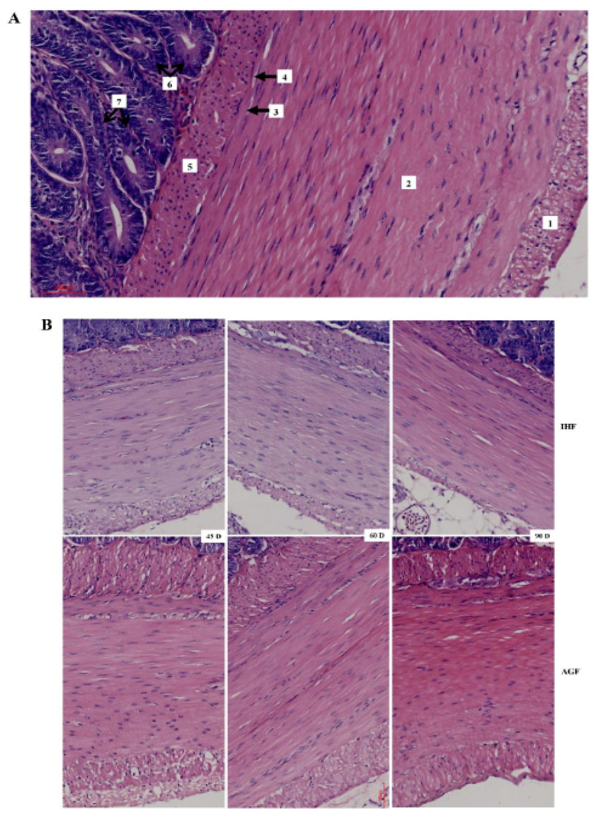 Preprints 87228 g003