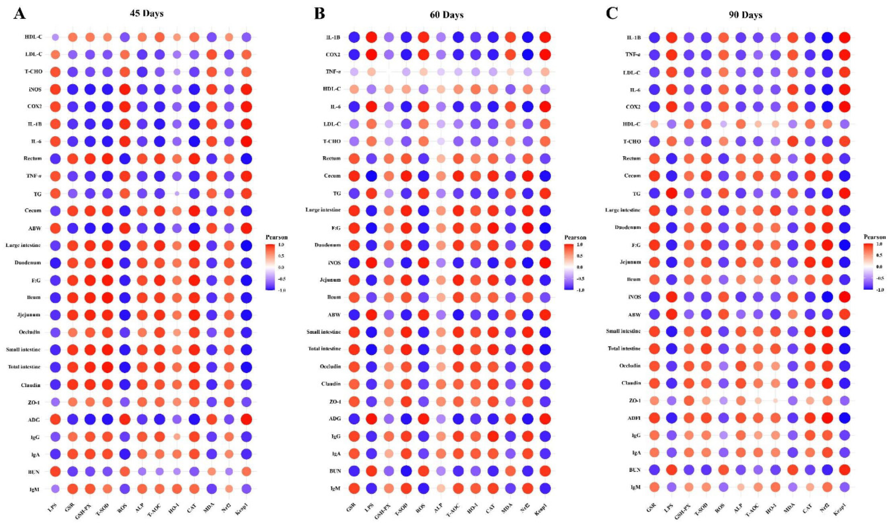 Preprints 87228 g008