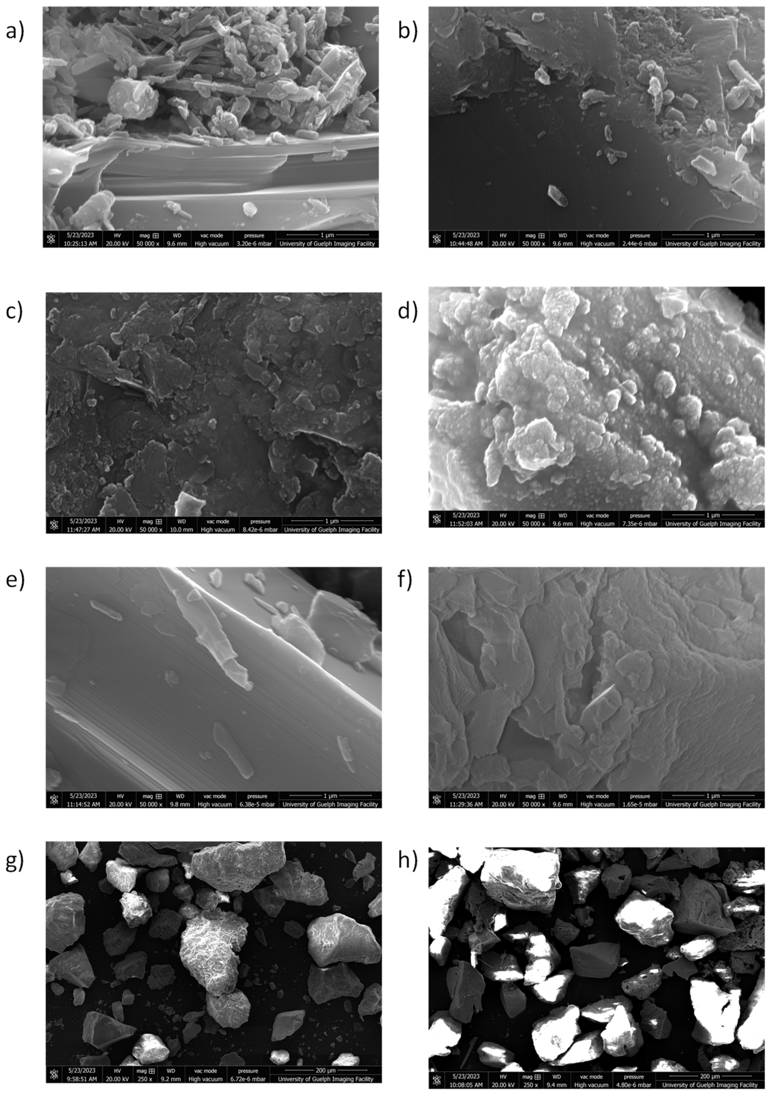 Preprints 119777 g003