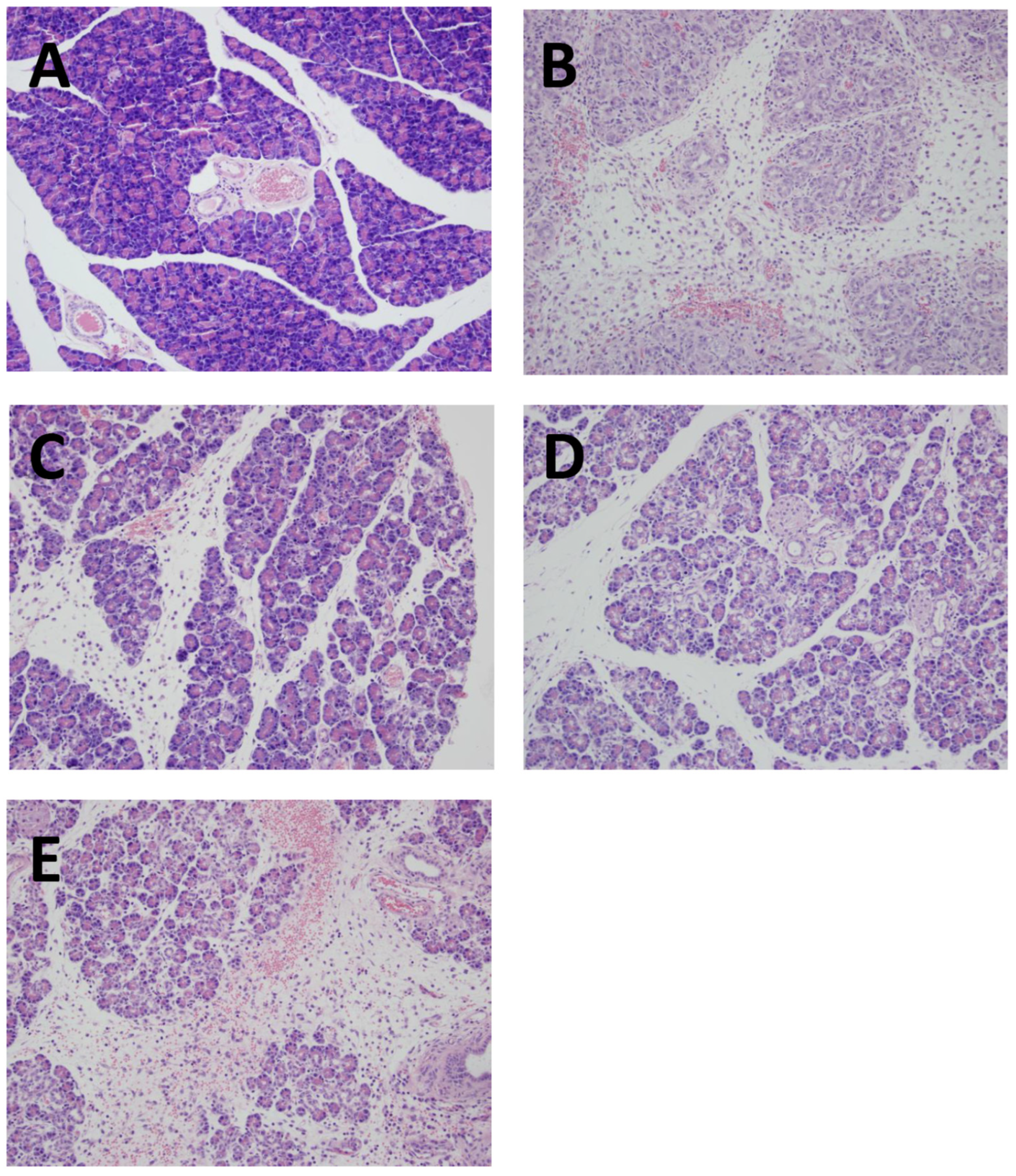 Preprints 71453 g002