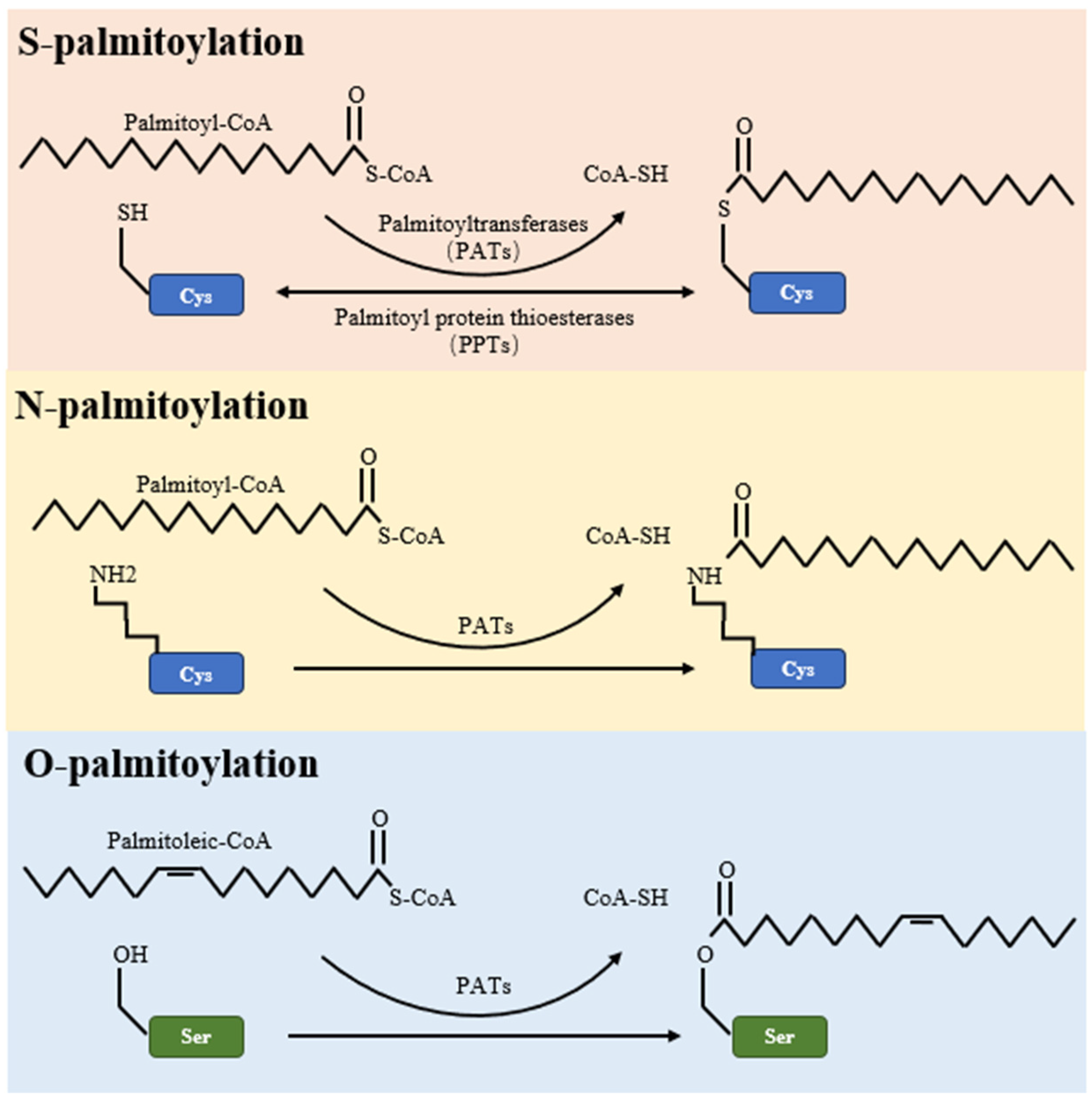 Preprints 90055 g001