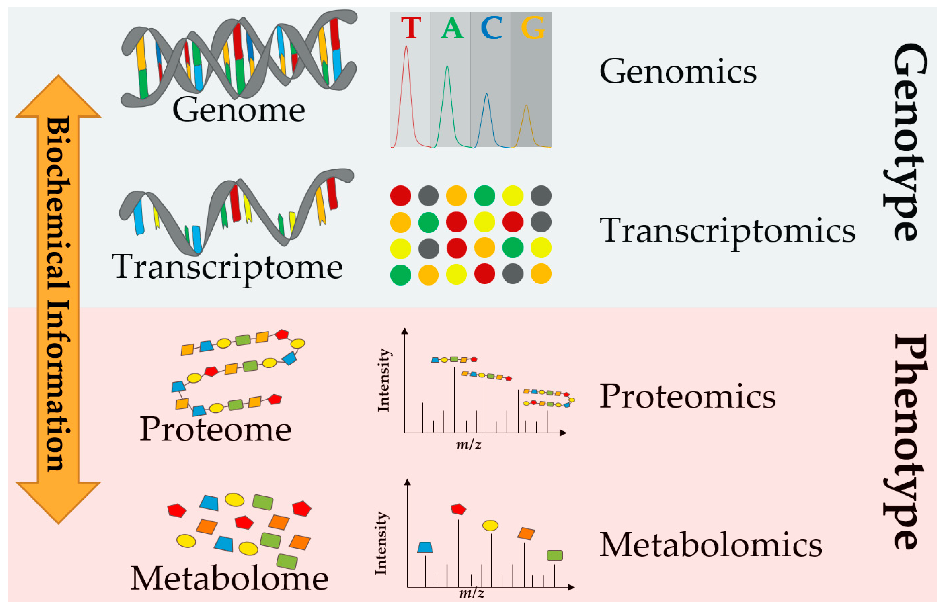 Preprints 71521 g001