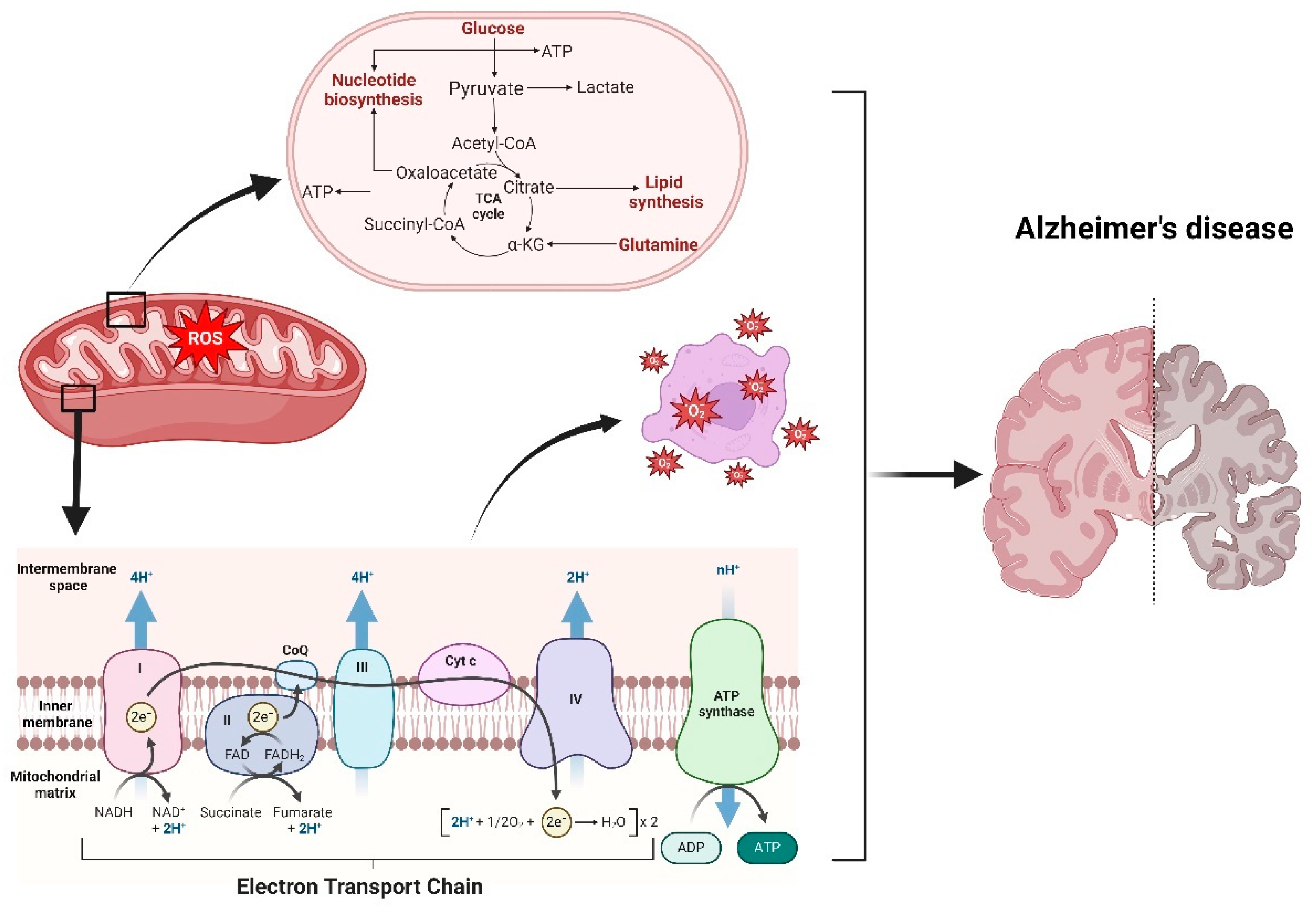 Preprints 115462 g002