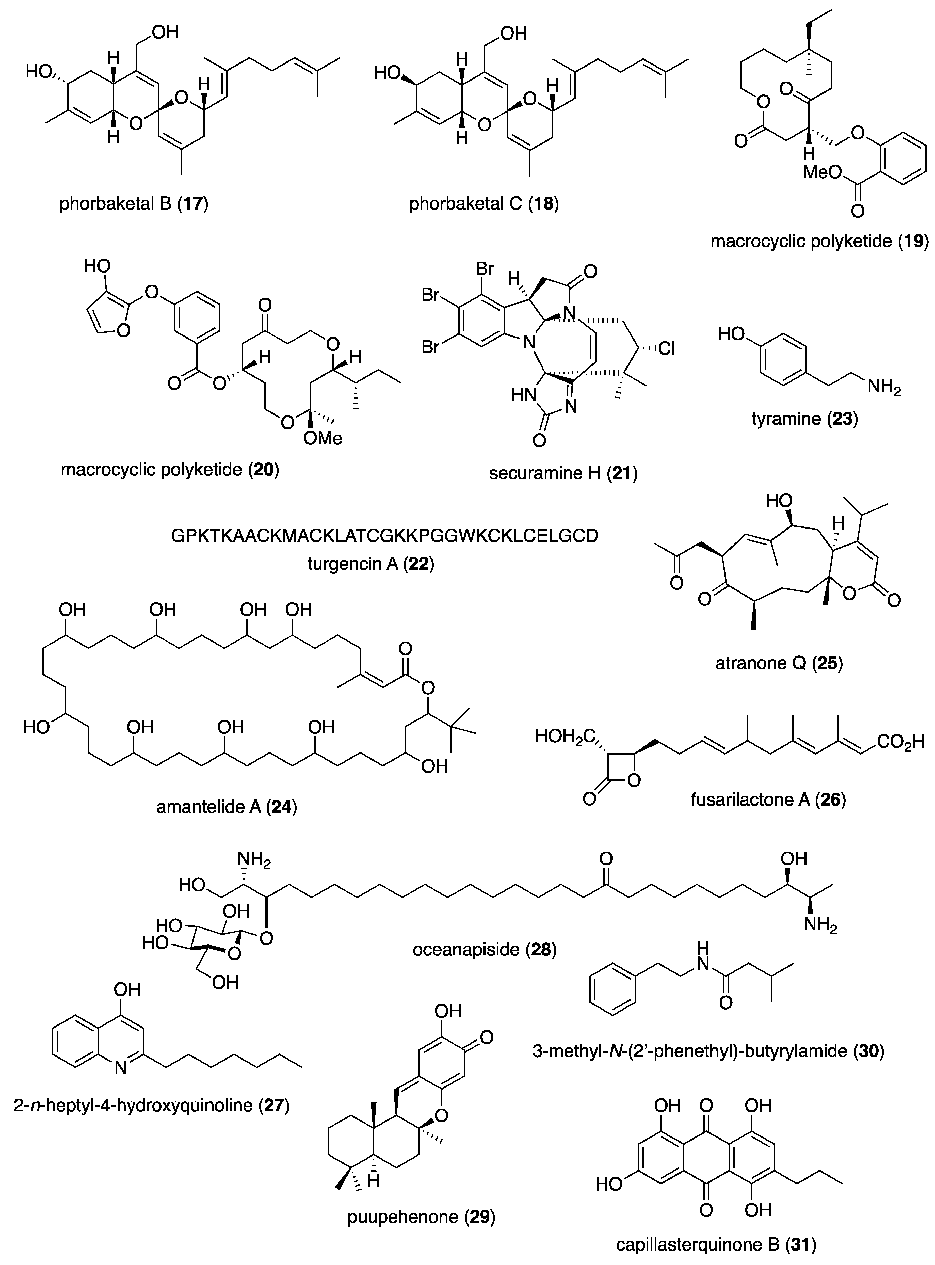 Preprints 107221 g001b