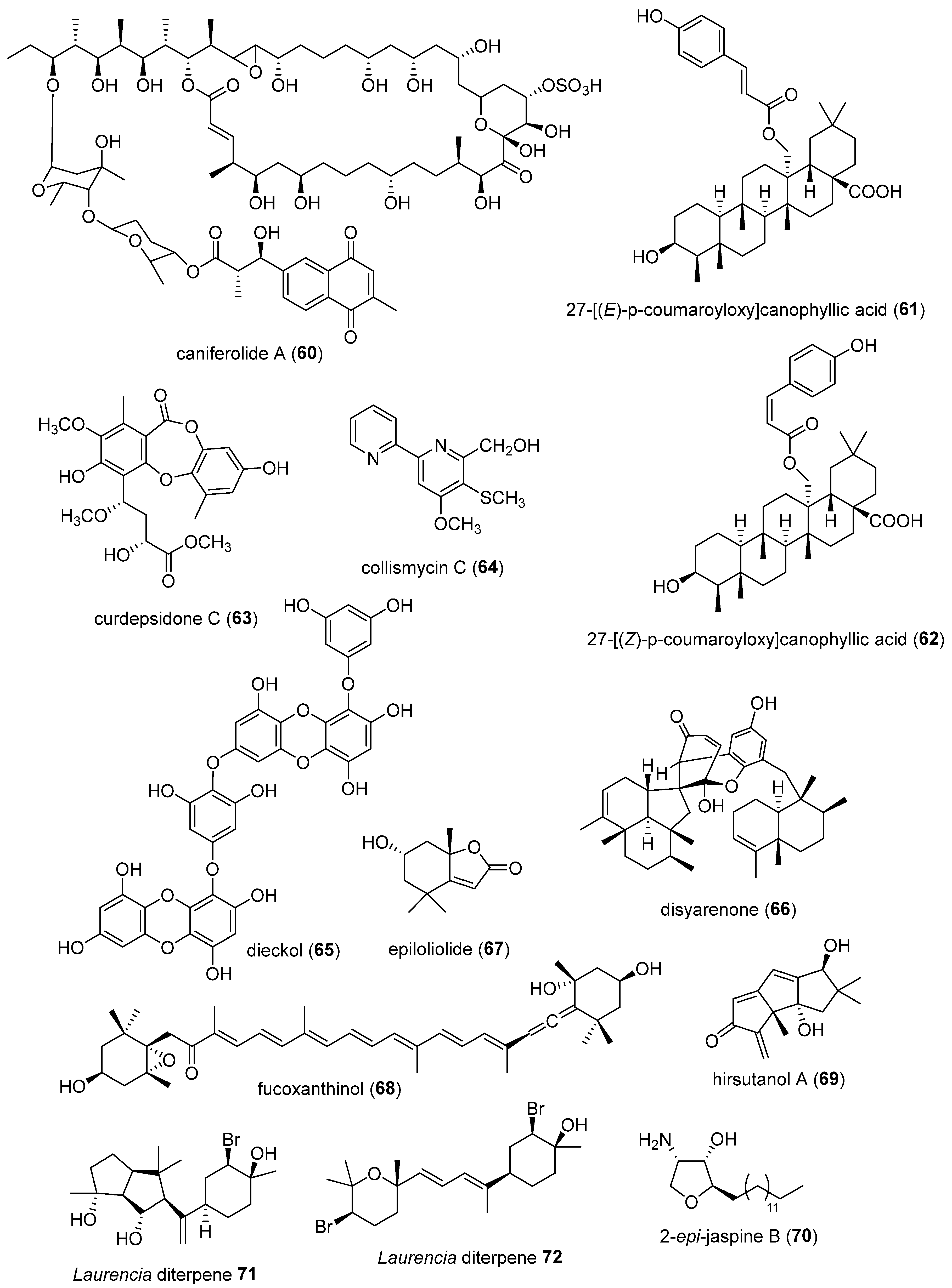 Preprints 107221 g002b