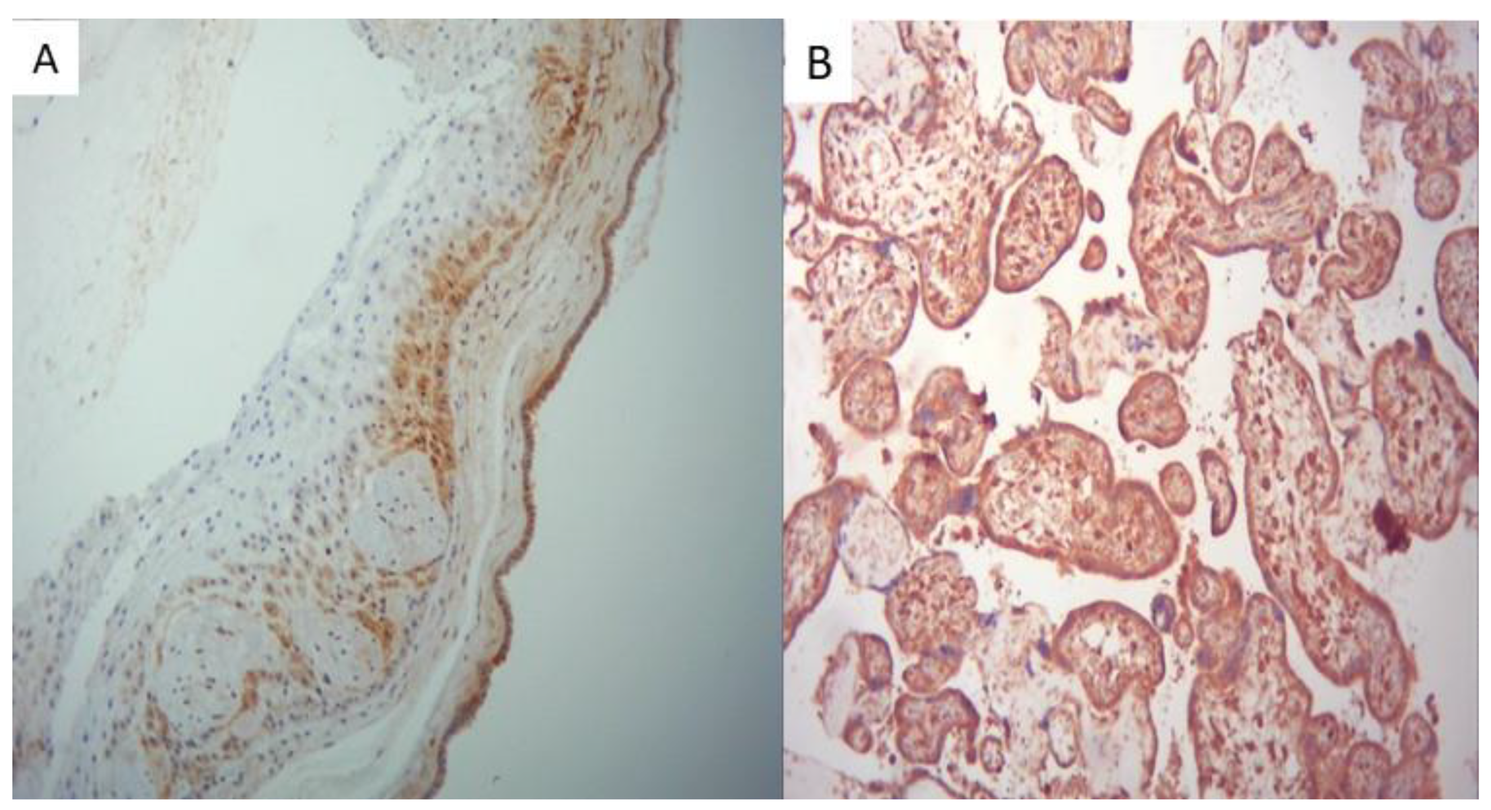 Preprints 95835 g005