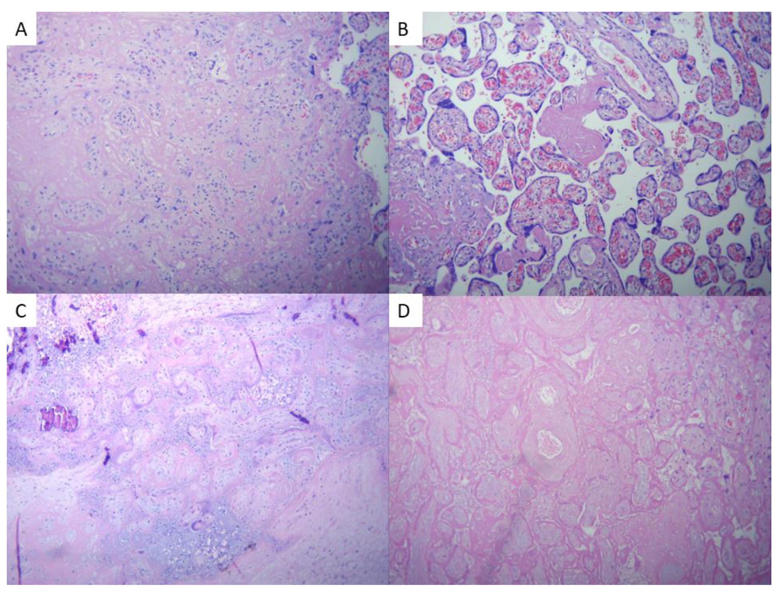 Preprints 95835 g006