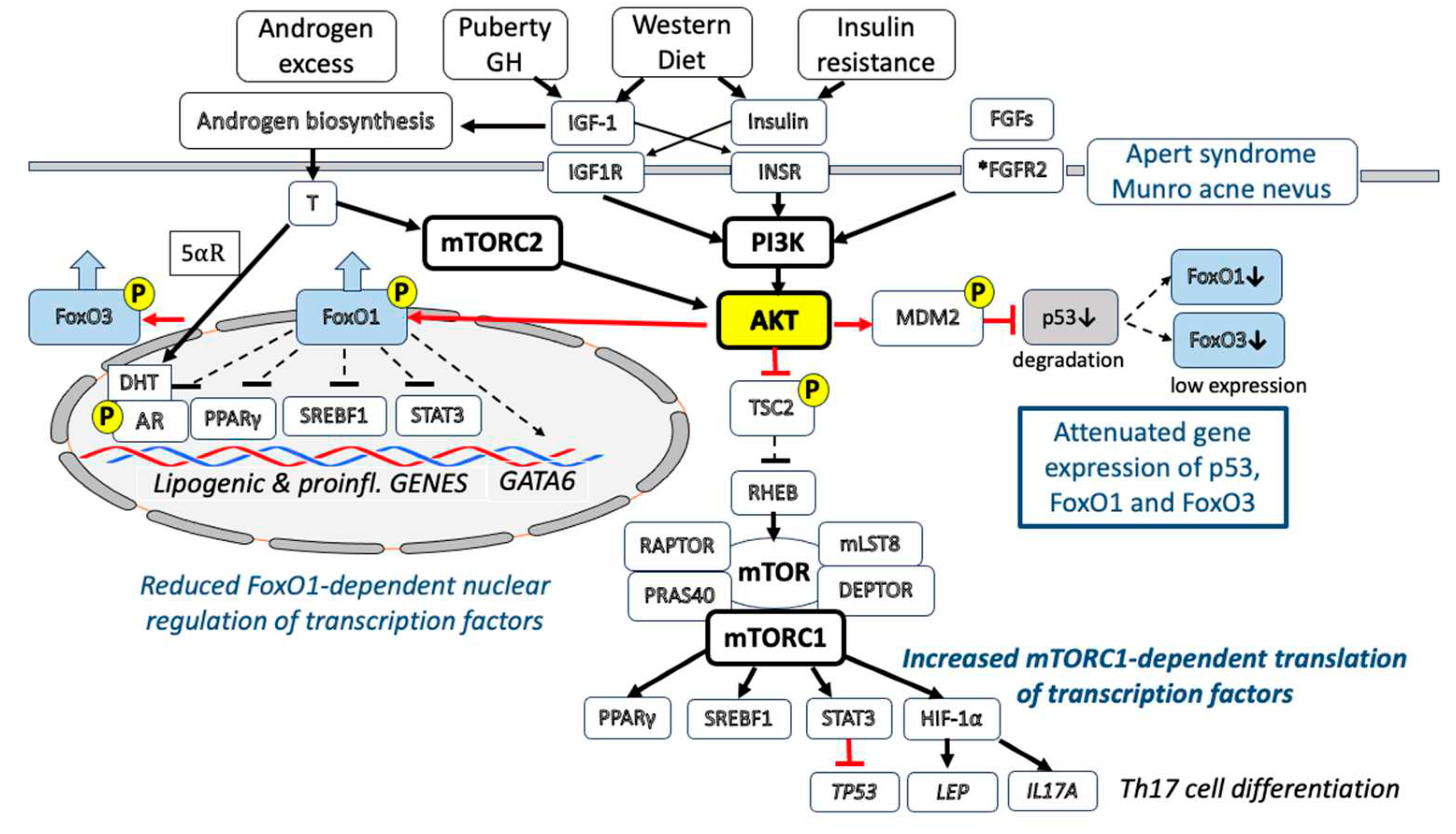 Preprints 87241 g001