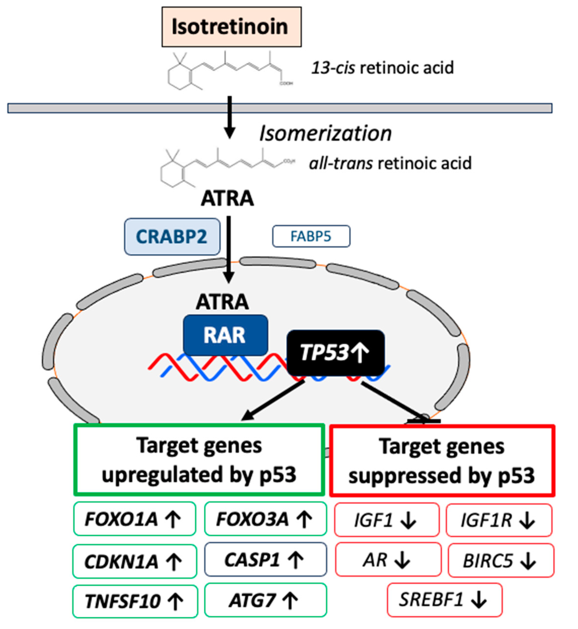 Preprints 87241 g002