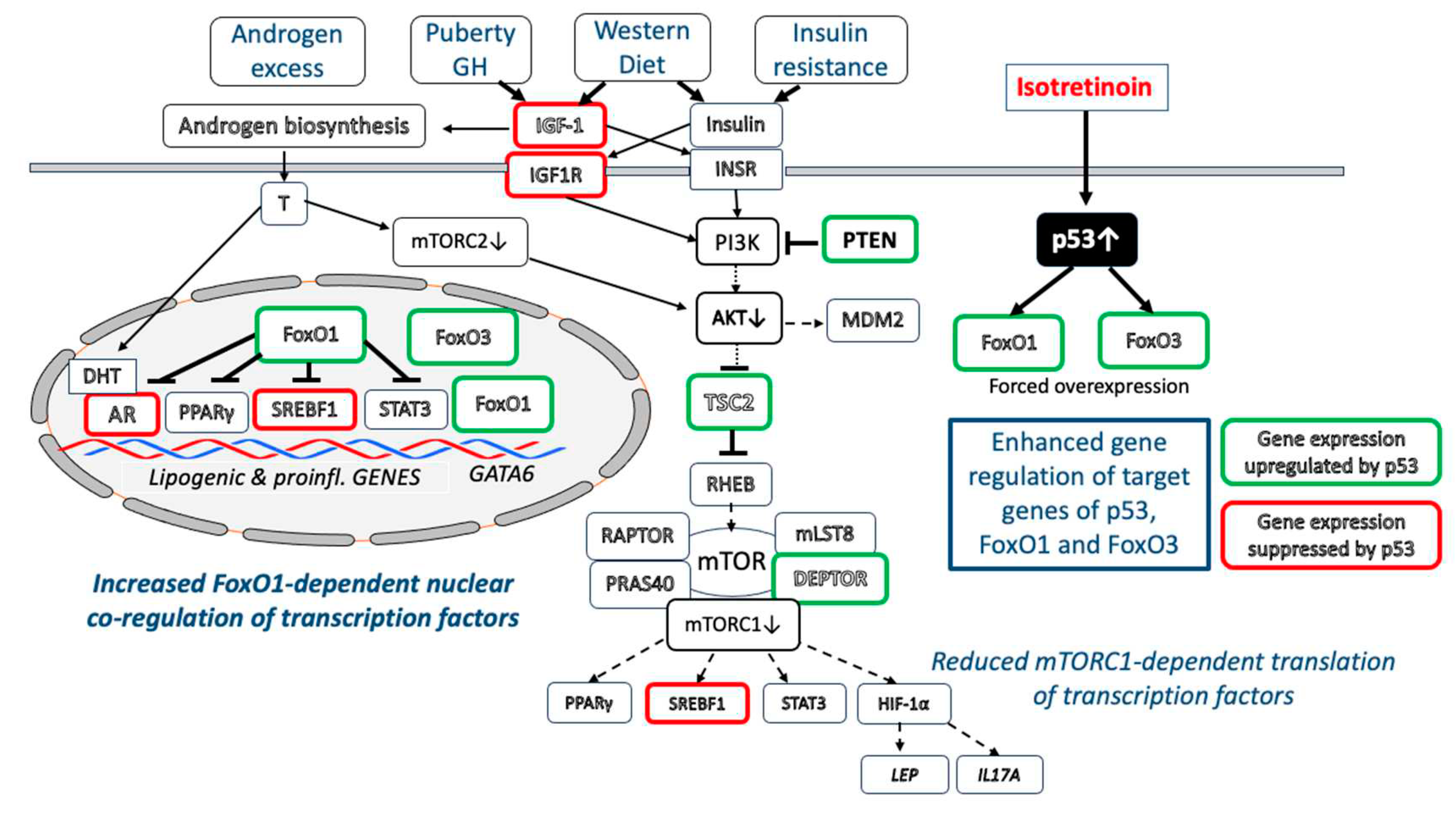 Preprints 87241 g003