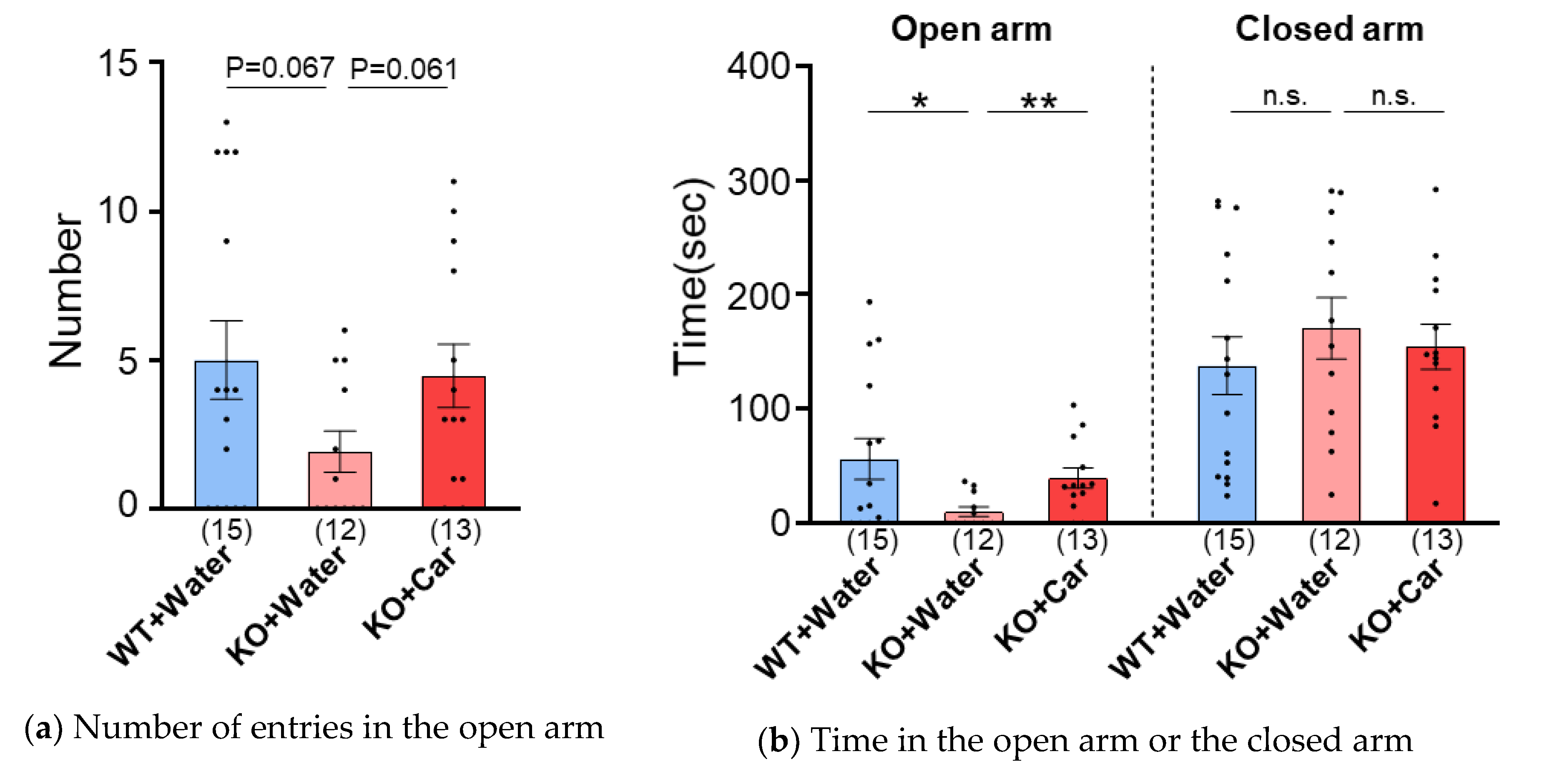 Preprints 112613 g002