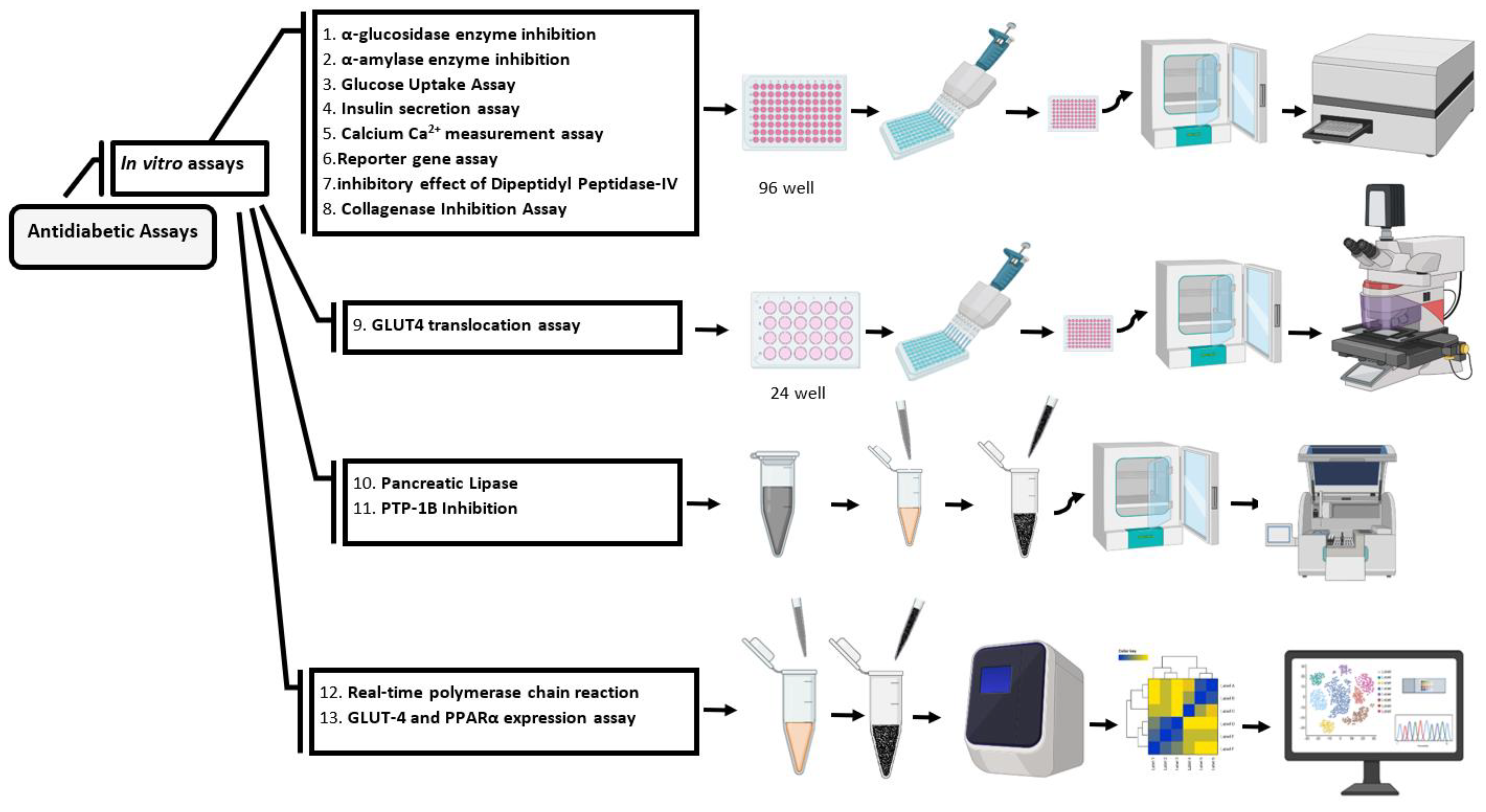 Preprints 72075 g002