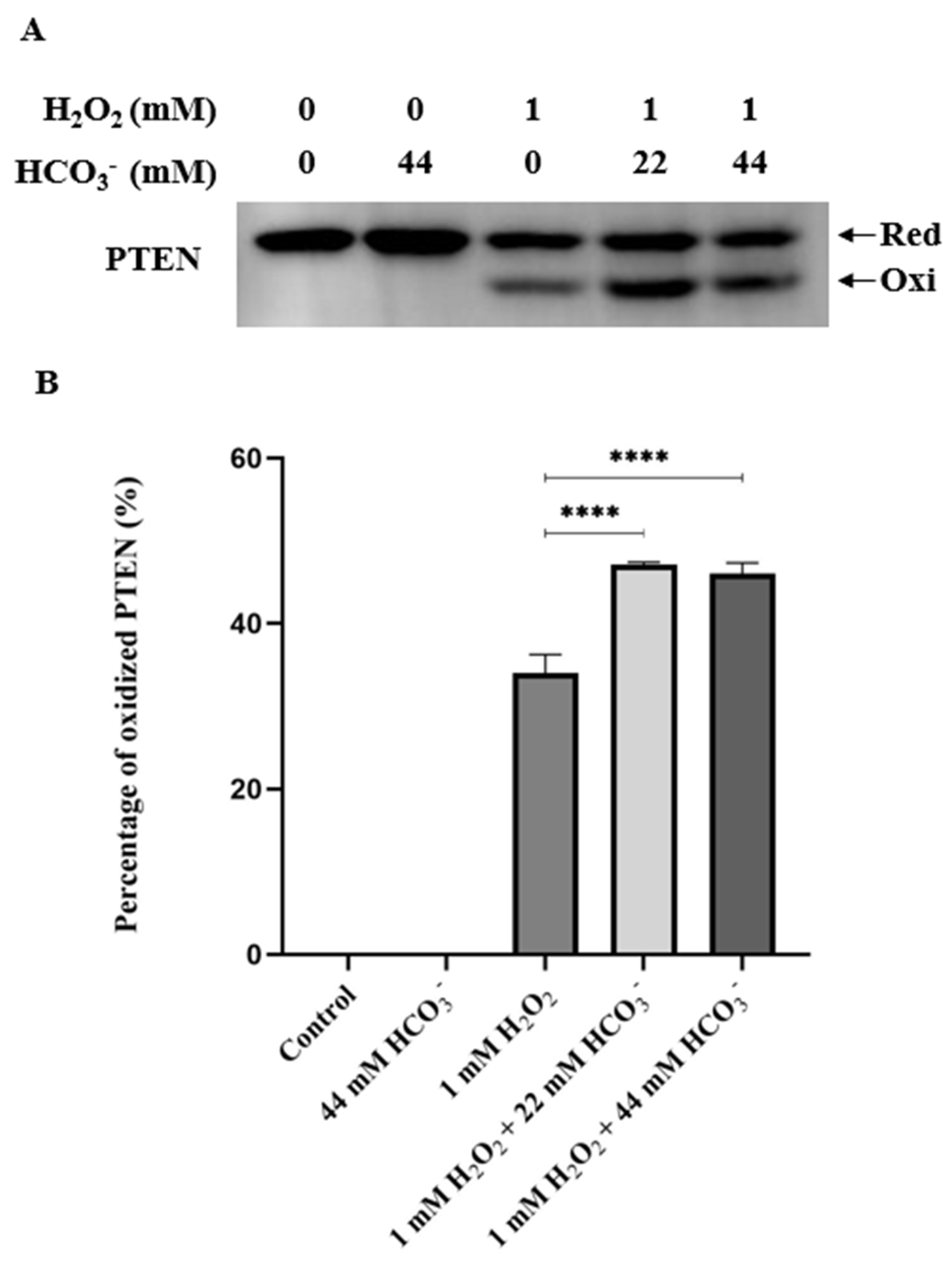 Preprints 98320 g002