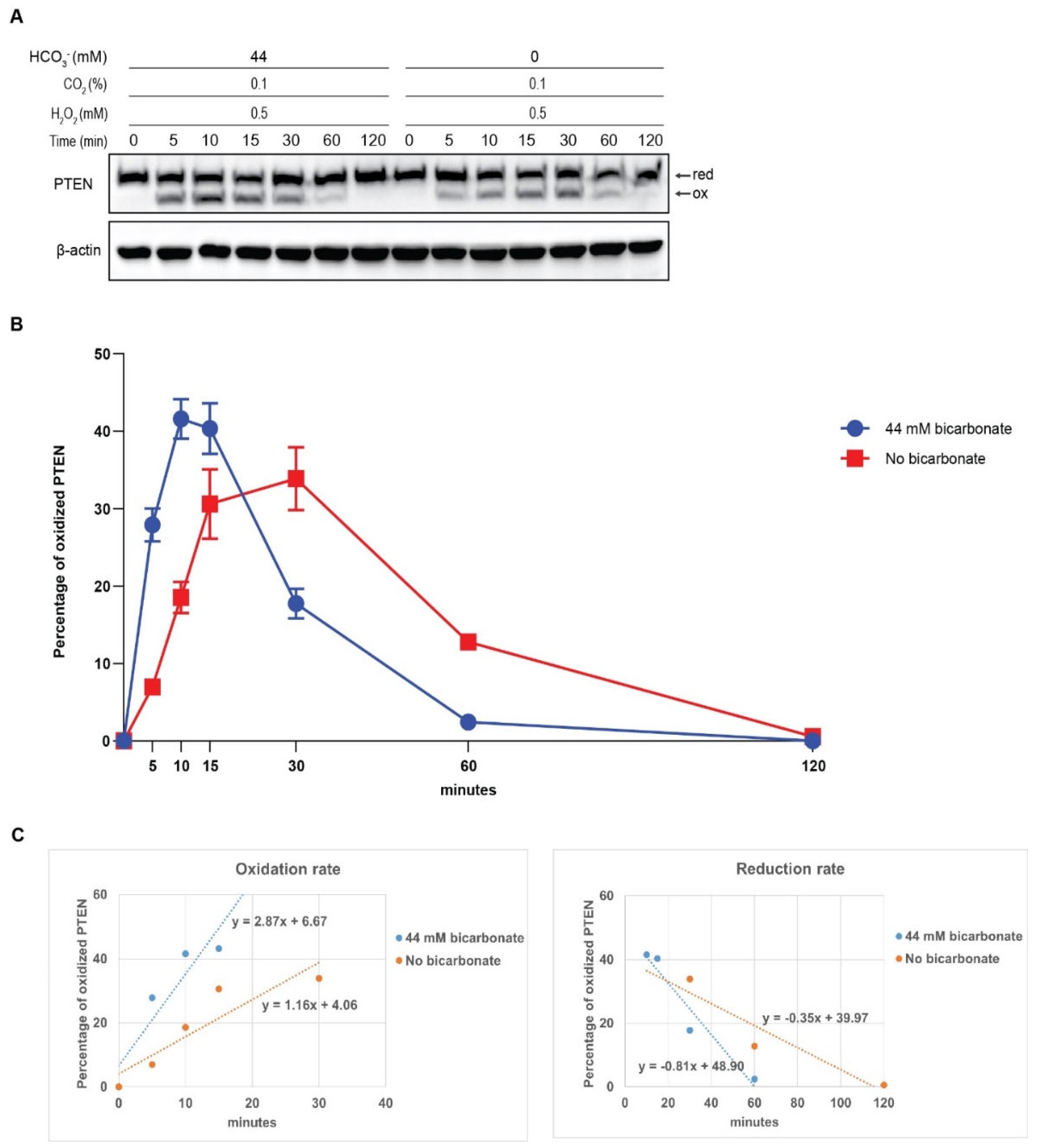 Preprints 98320 g003