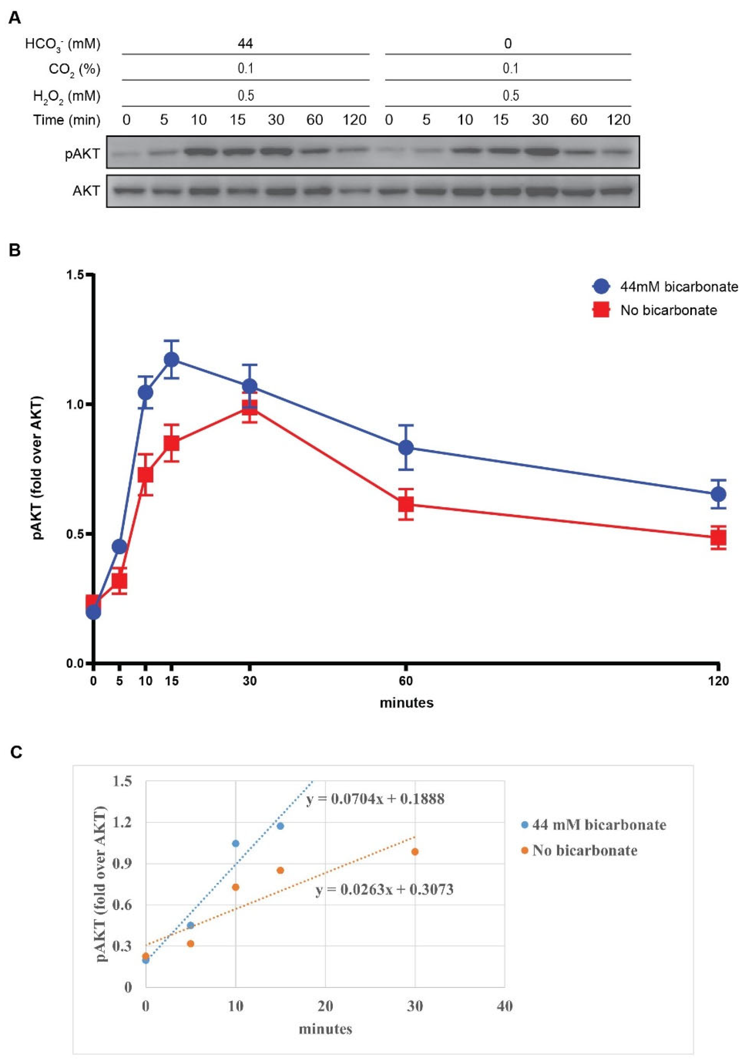 Preprints 98320 g004