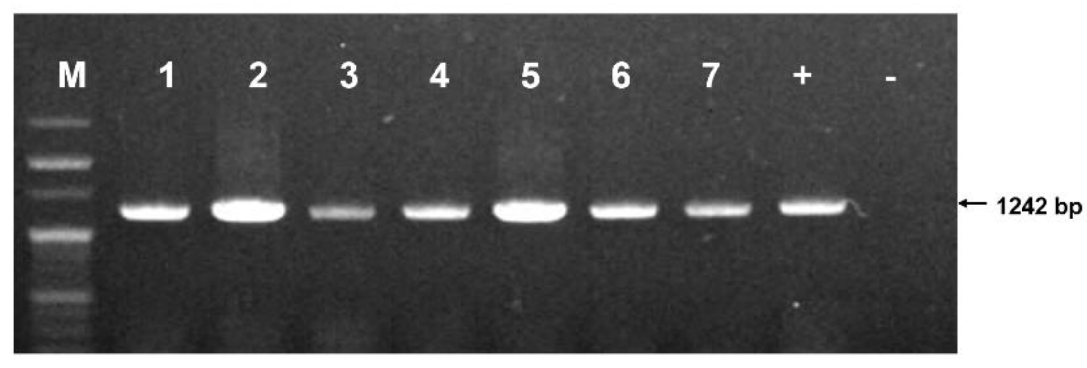 Preprints 101249 g002