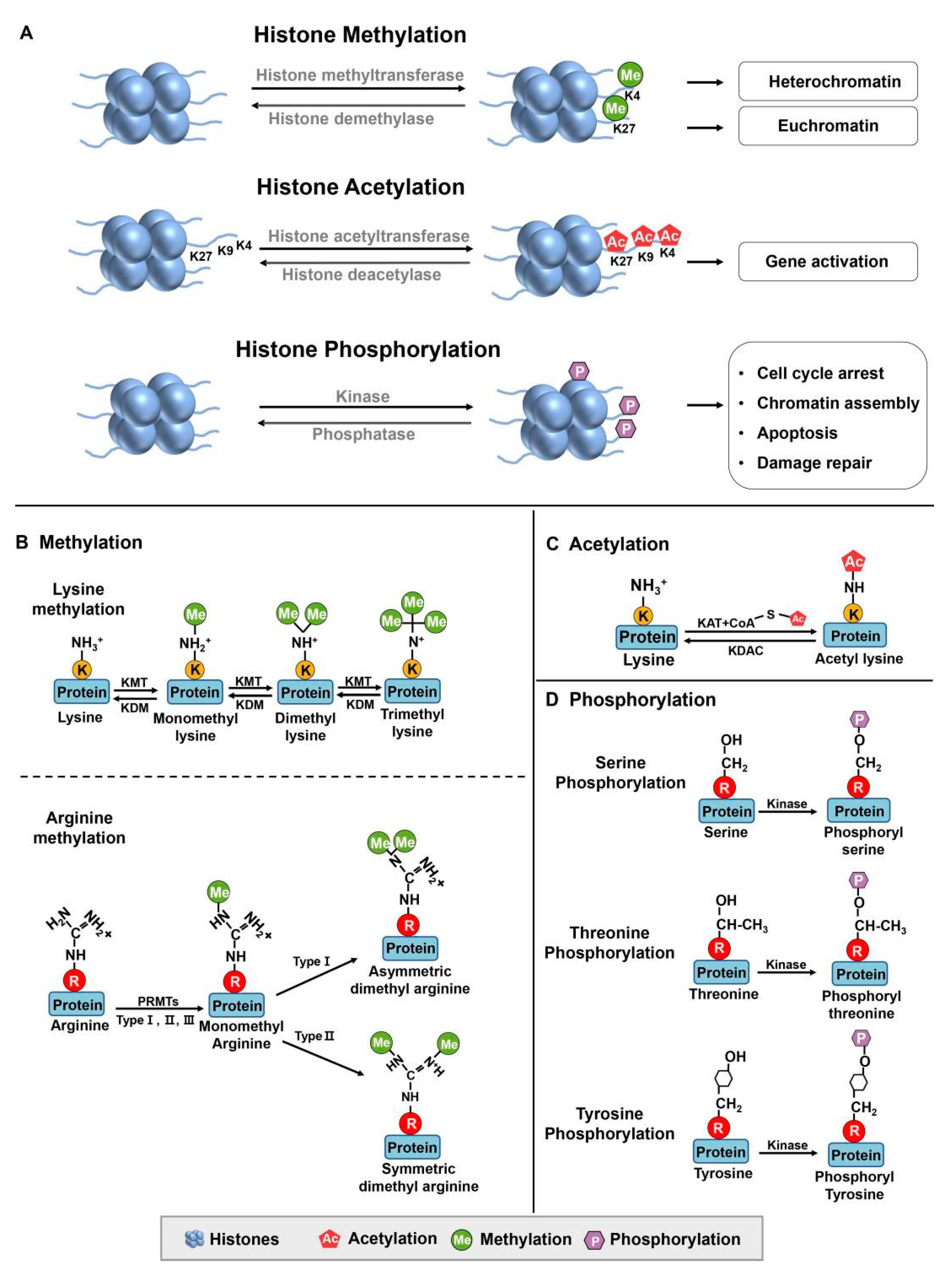 Preprints 74960 g001